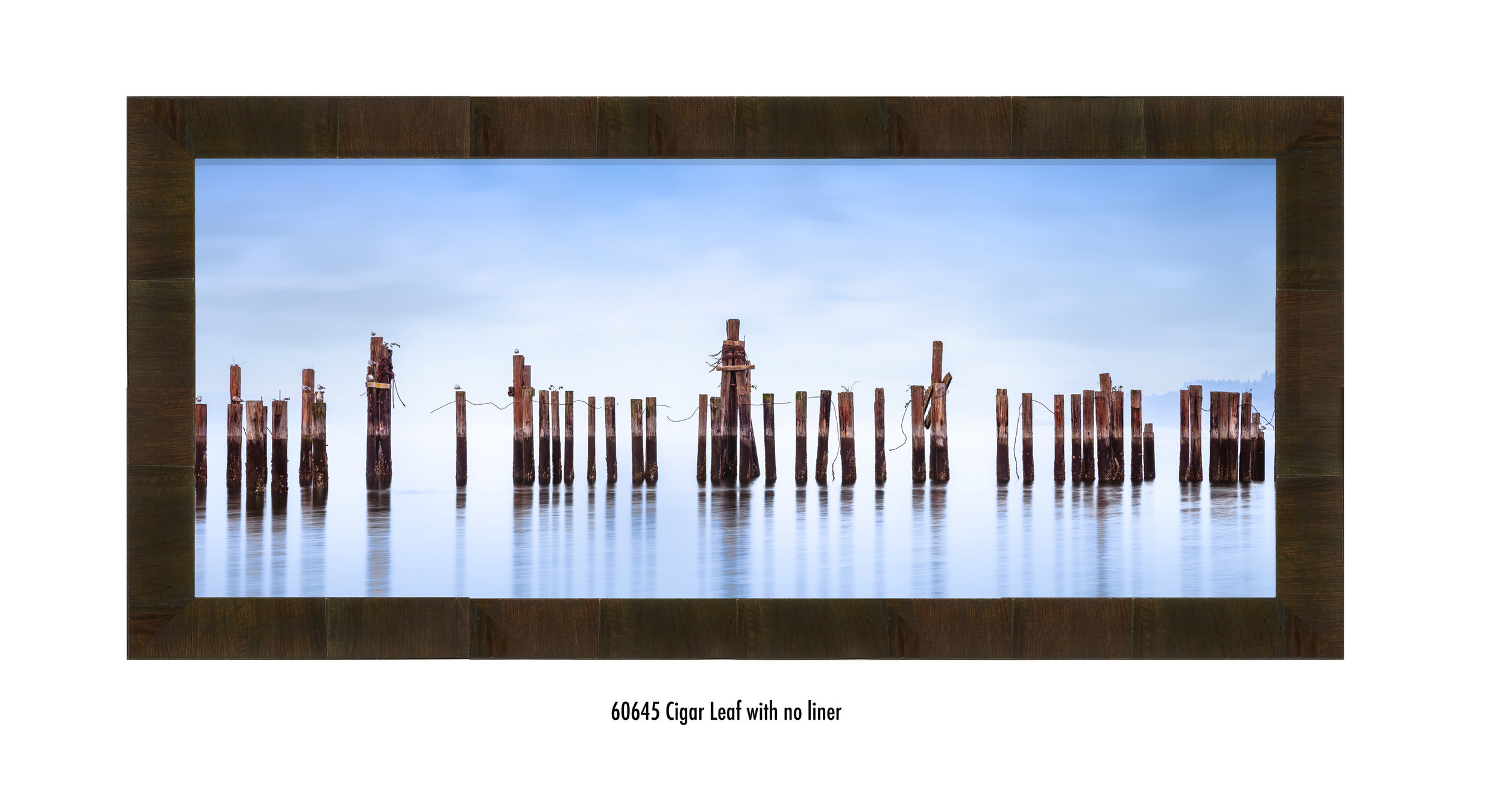 Concordia-60645-none.jpg