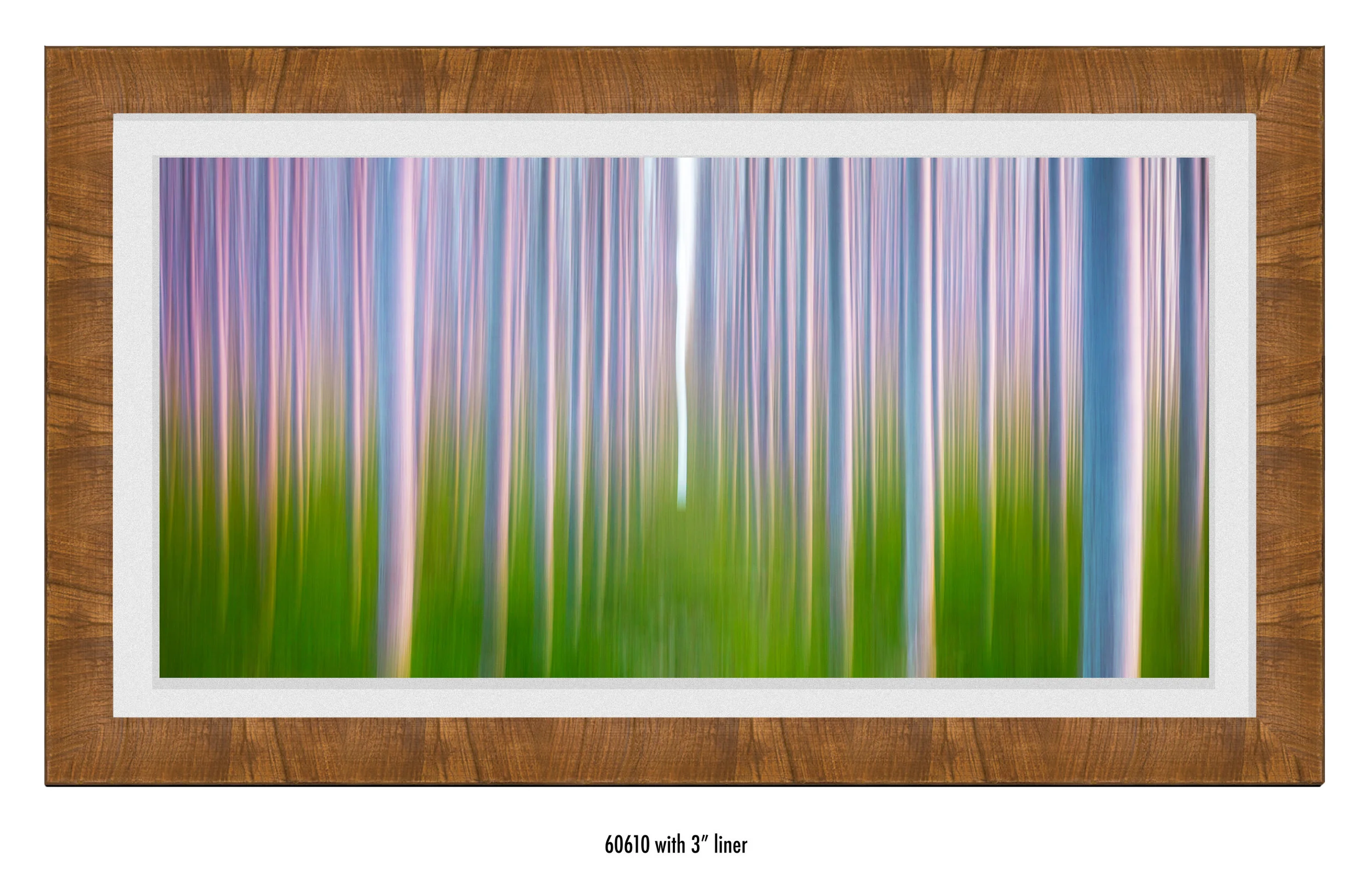 Chasing-the-Leaf-60610-wht.jpg