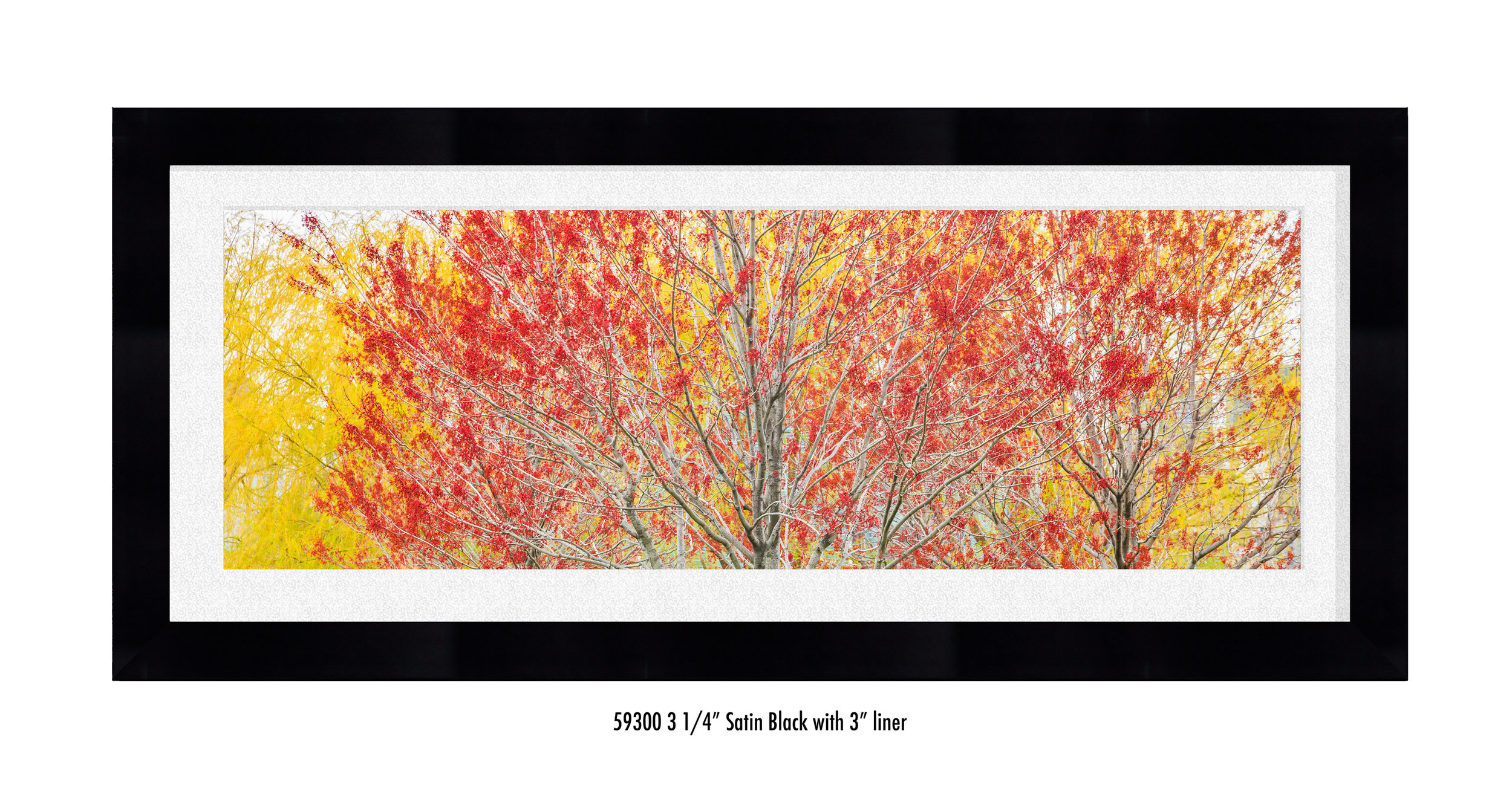 Autumn-59300-wht.jpg