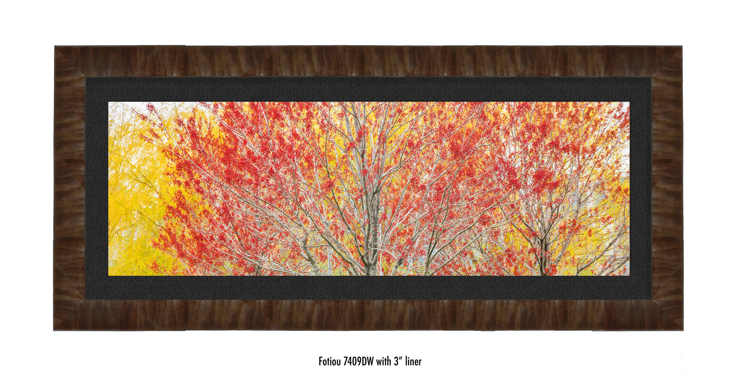 Autumn-7409DW-blk.jpg
