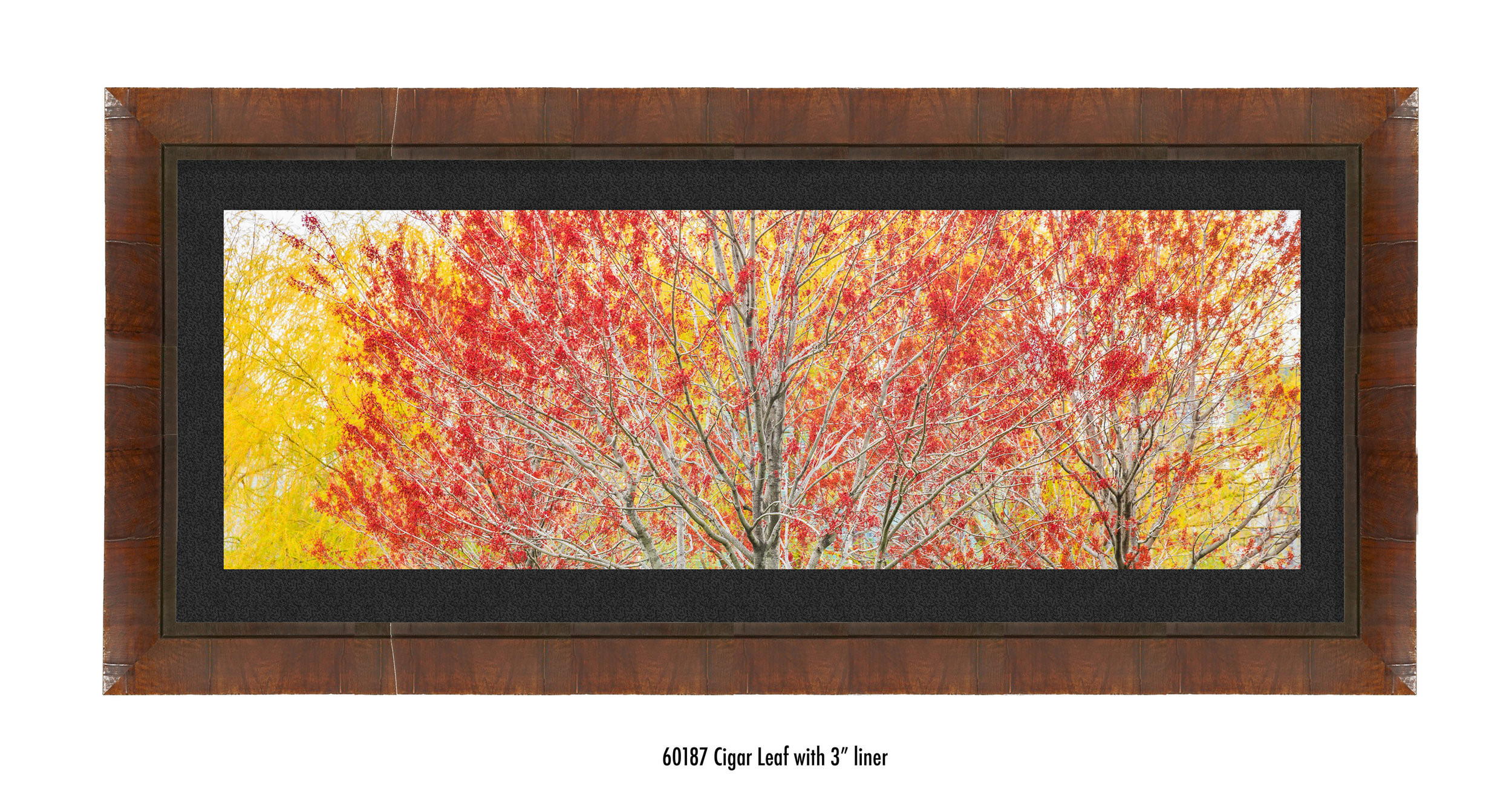 Autumn-60187-blk.jpg