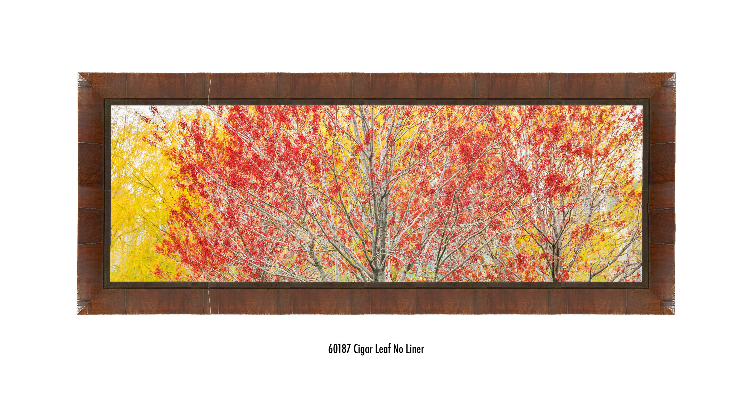 Autumn-60187-none.jpg