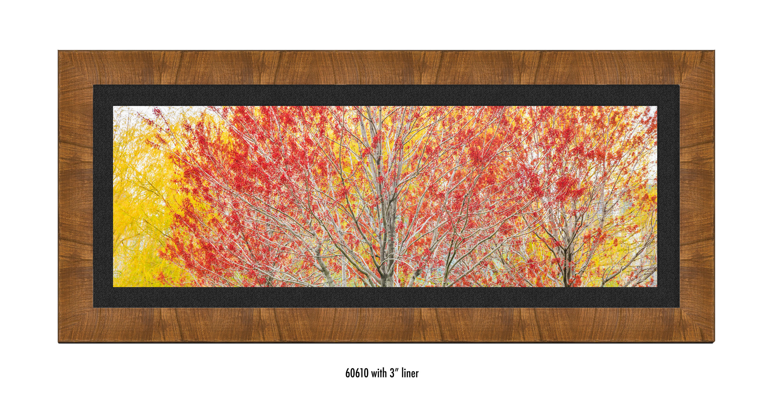 Autumn-60610-blk.jpg