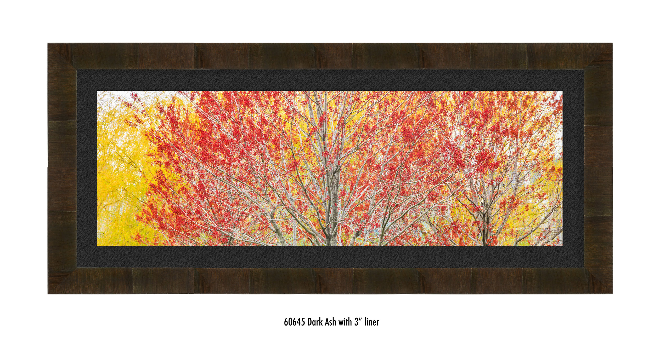 Autumn-60645-blk.jpg