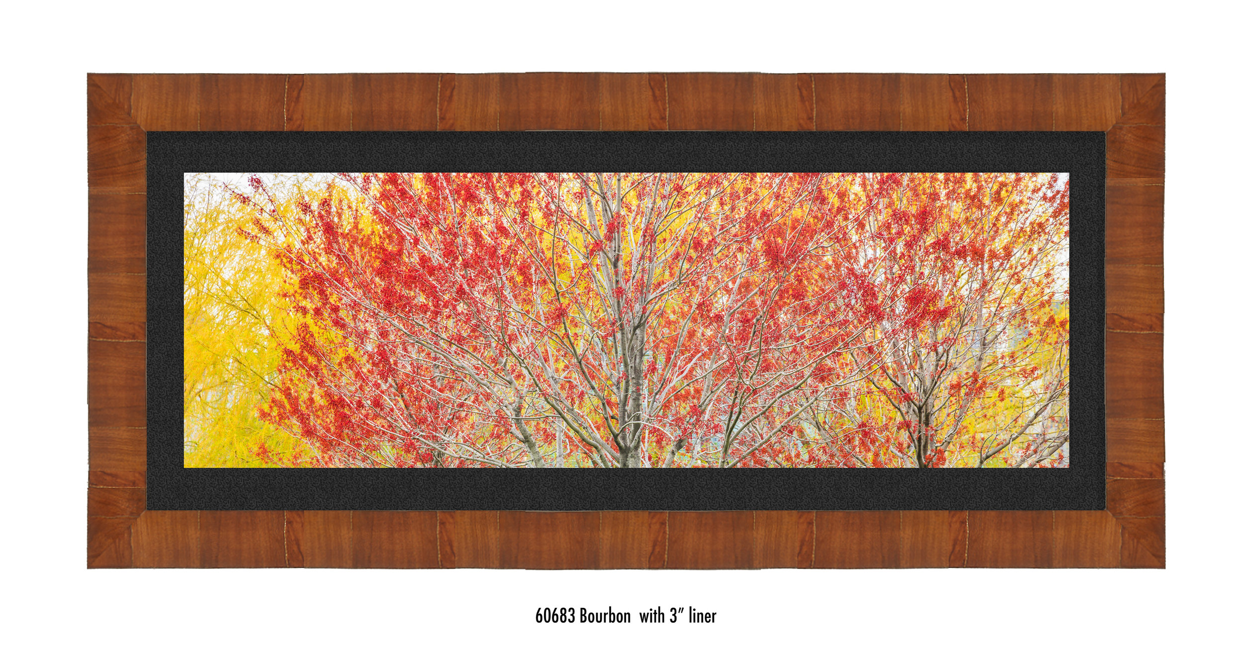 Autumn-60683-blk.jpg