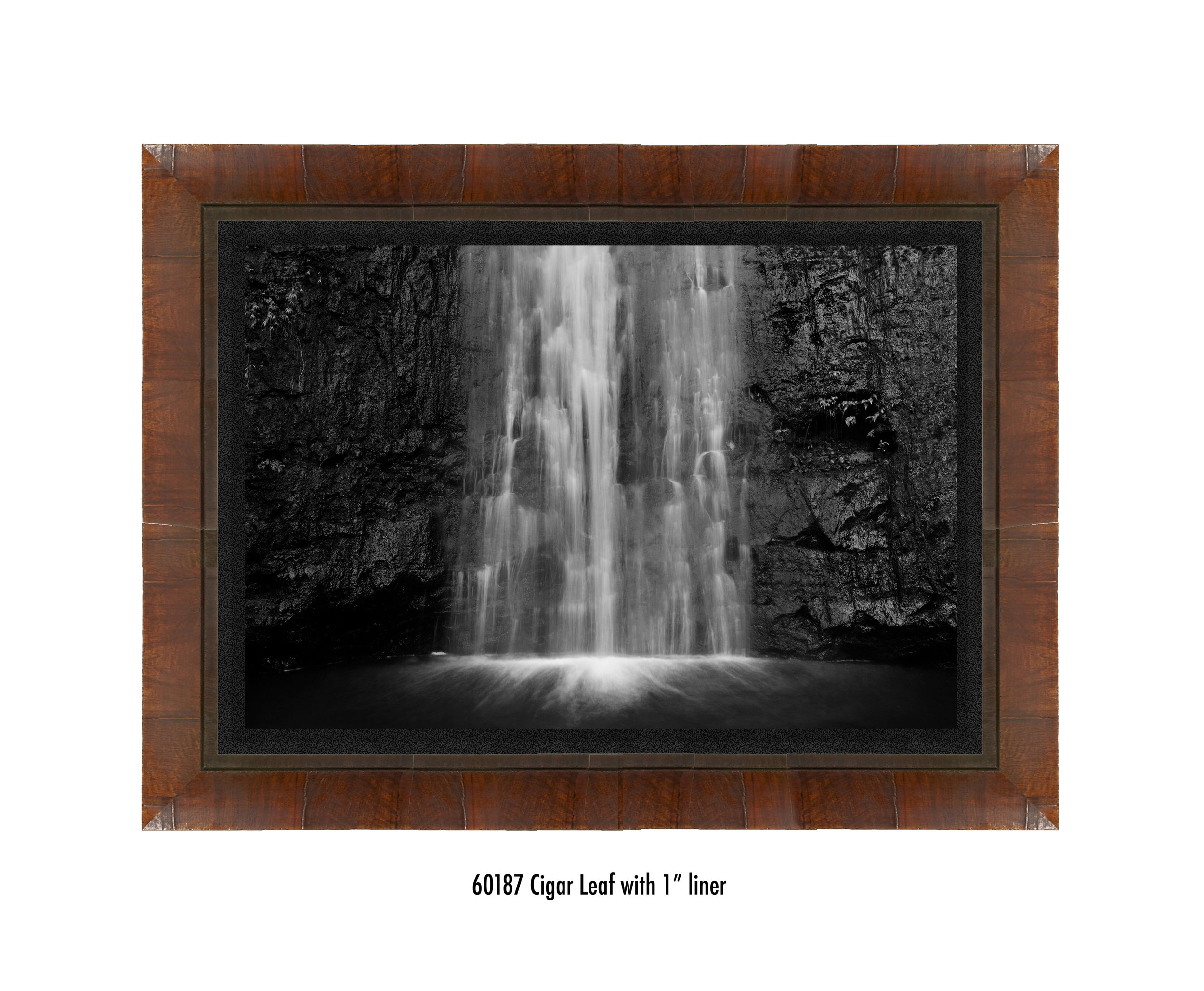Manoa-Falls-60187-1-blk.jpg