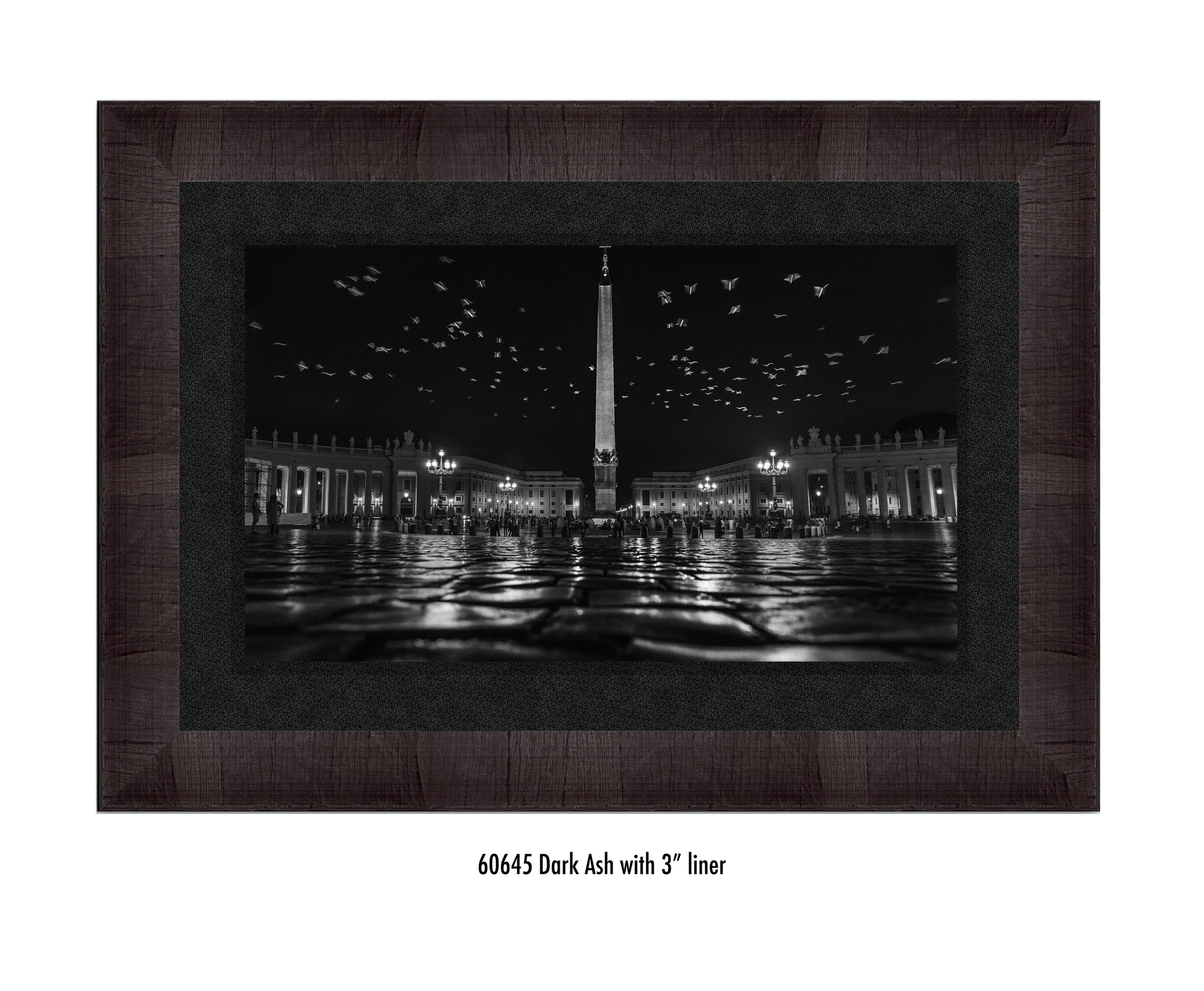 st-peters-birds-60645-3-blk.jpg