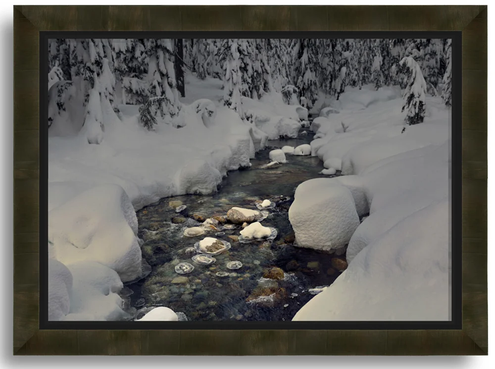 White-Mountain-60645.jpg