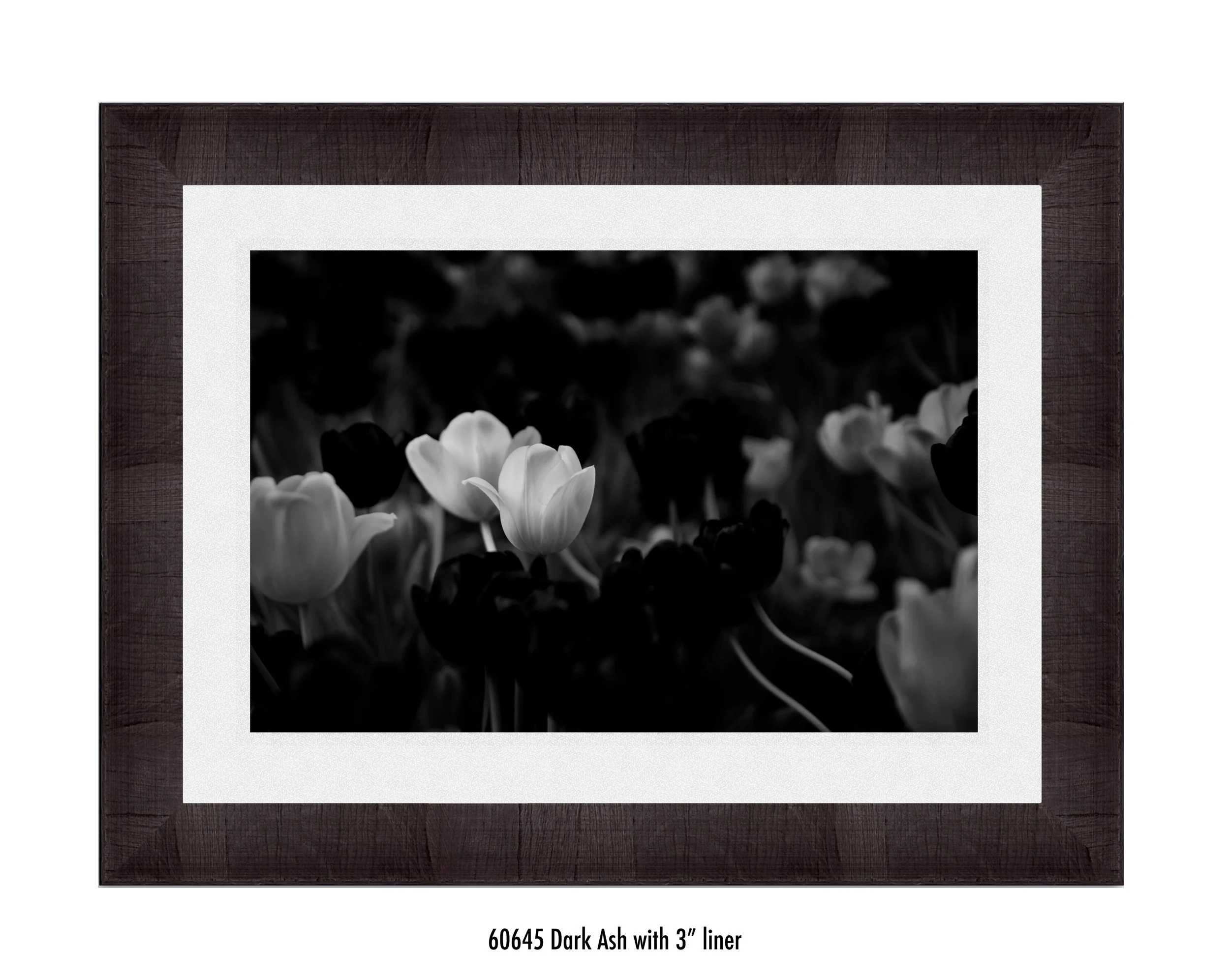 White-Flower-60645-3-wht.jpg