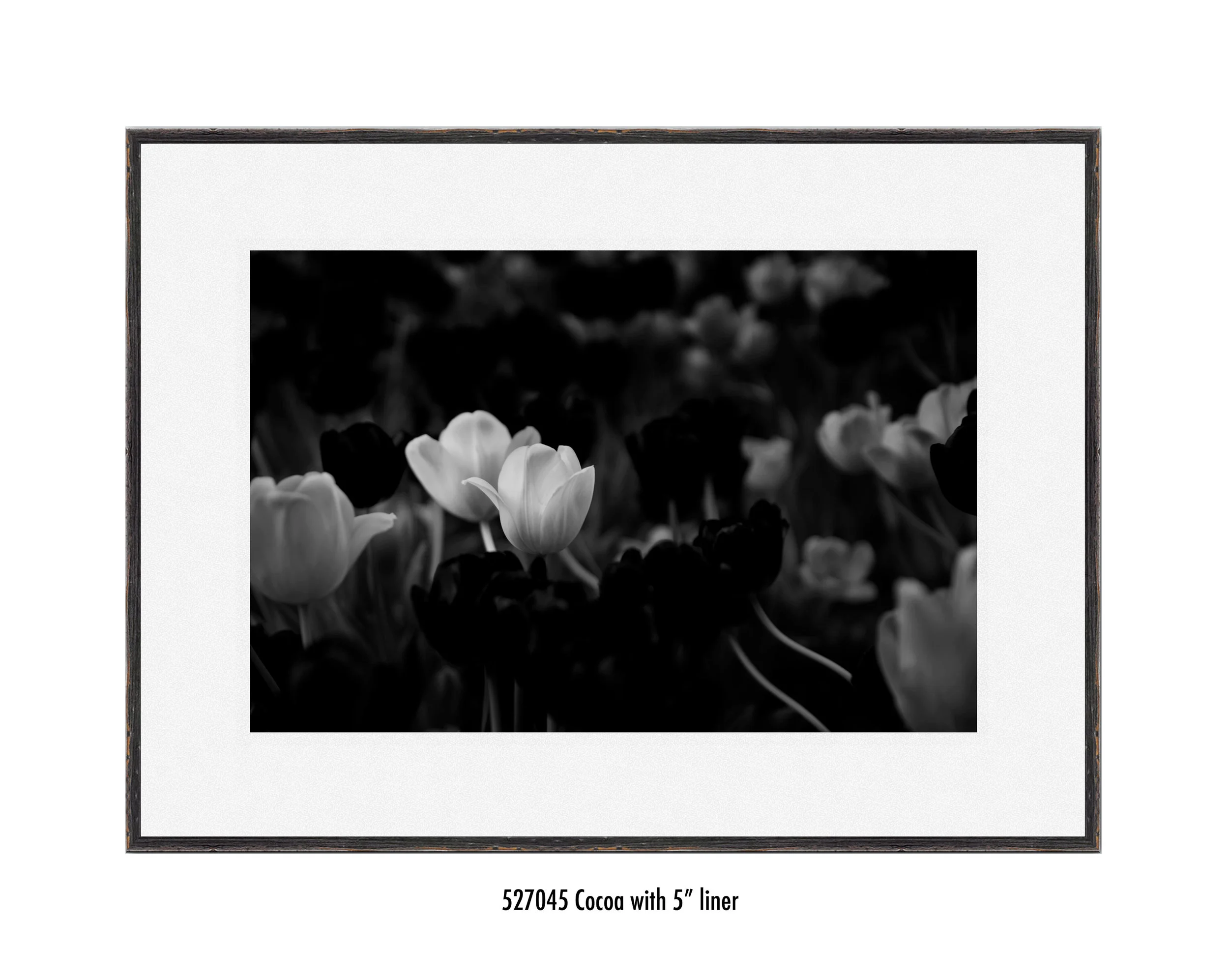 White-Flower-527045-5-wht.jpg