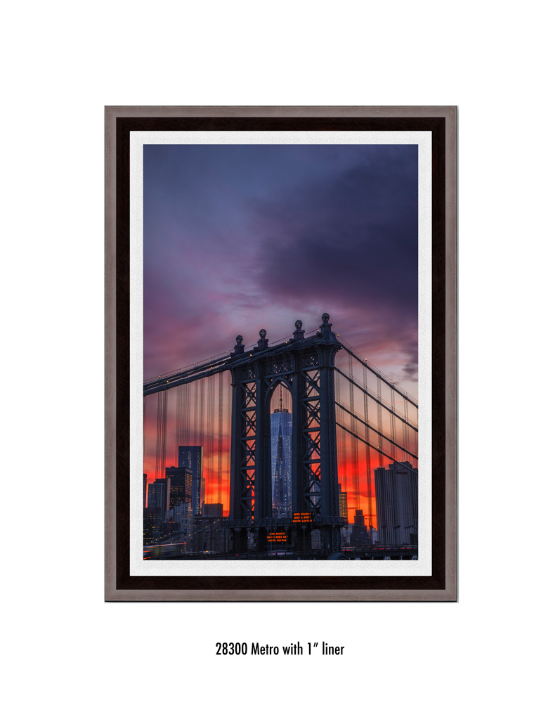 Freedom-Tower-28300-1-wht.jpg