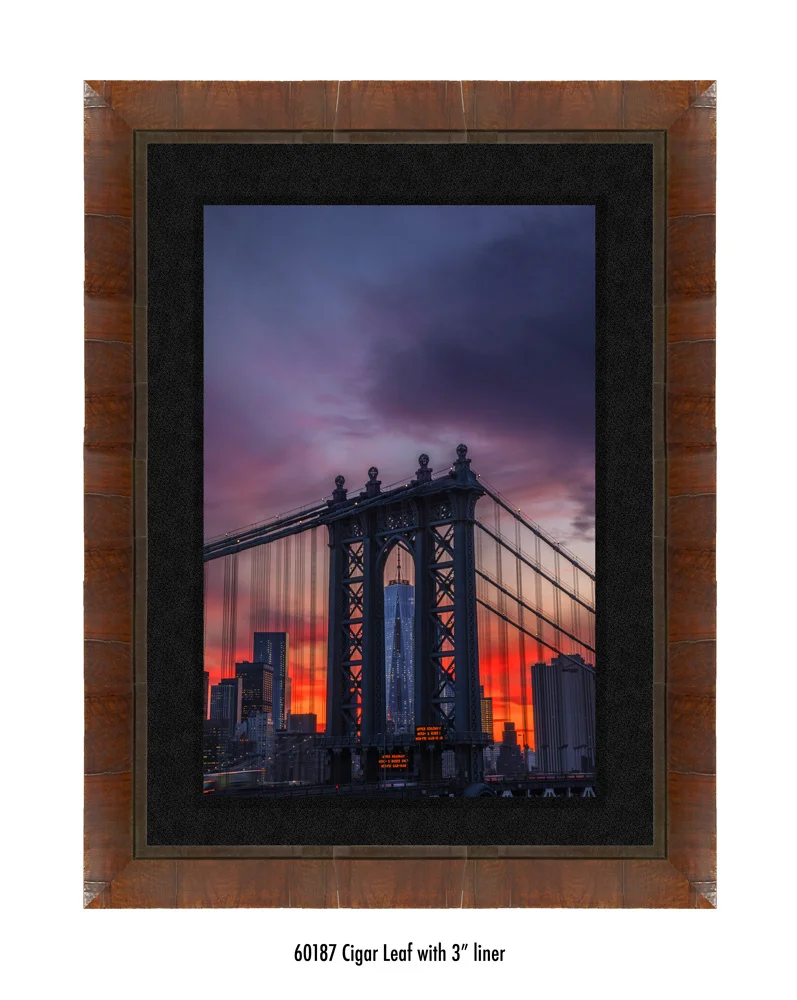 Freedom-Tower-60187-3-blk.jpg