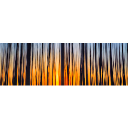 Rising-SQ.jpg