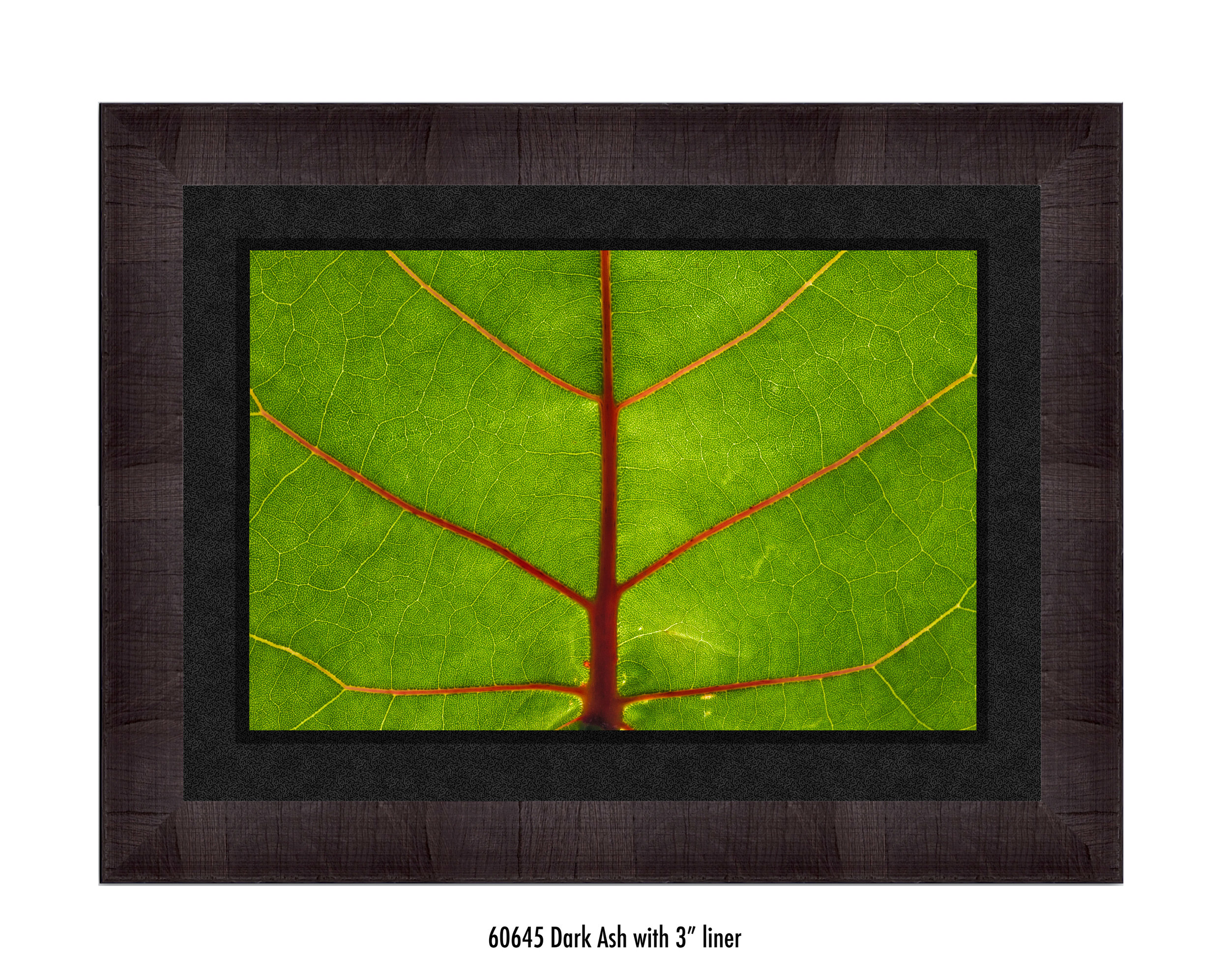 Leaf-60645-3-blk.jpg