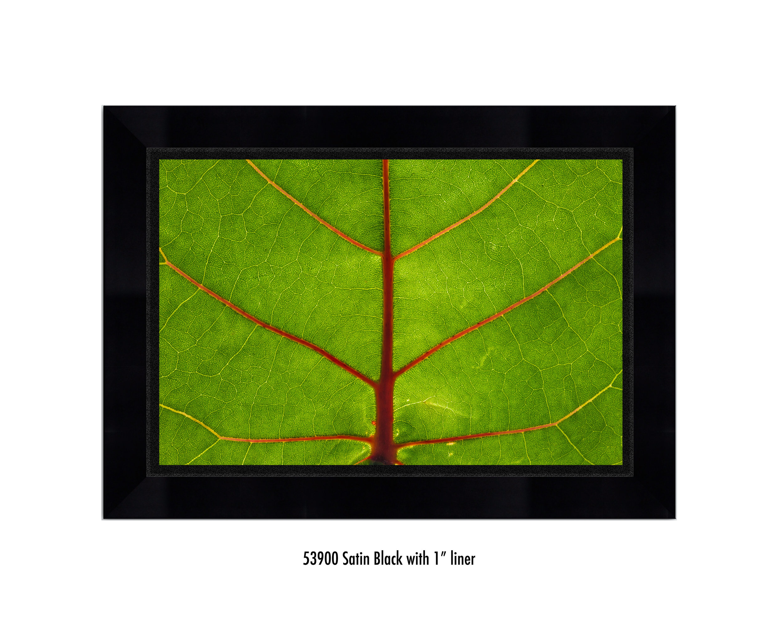 Leaf-59300-1-blk.jpg