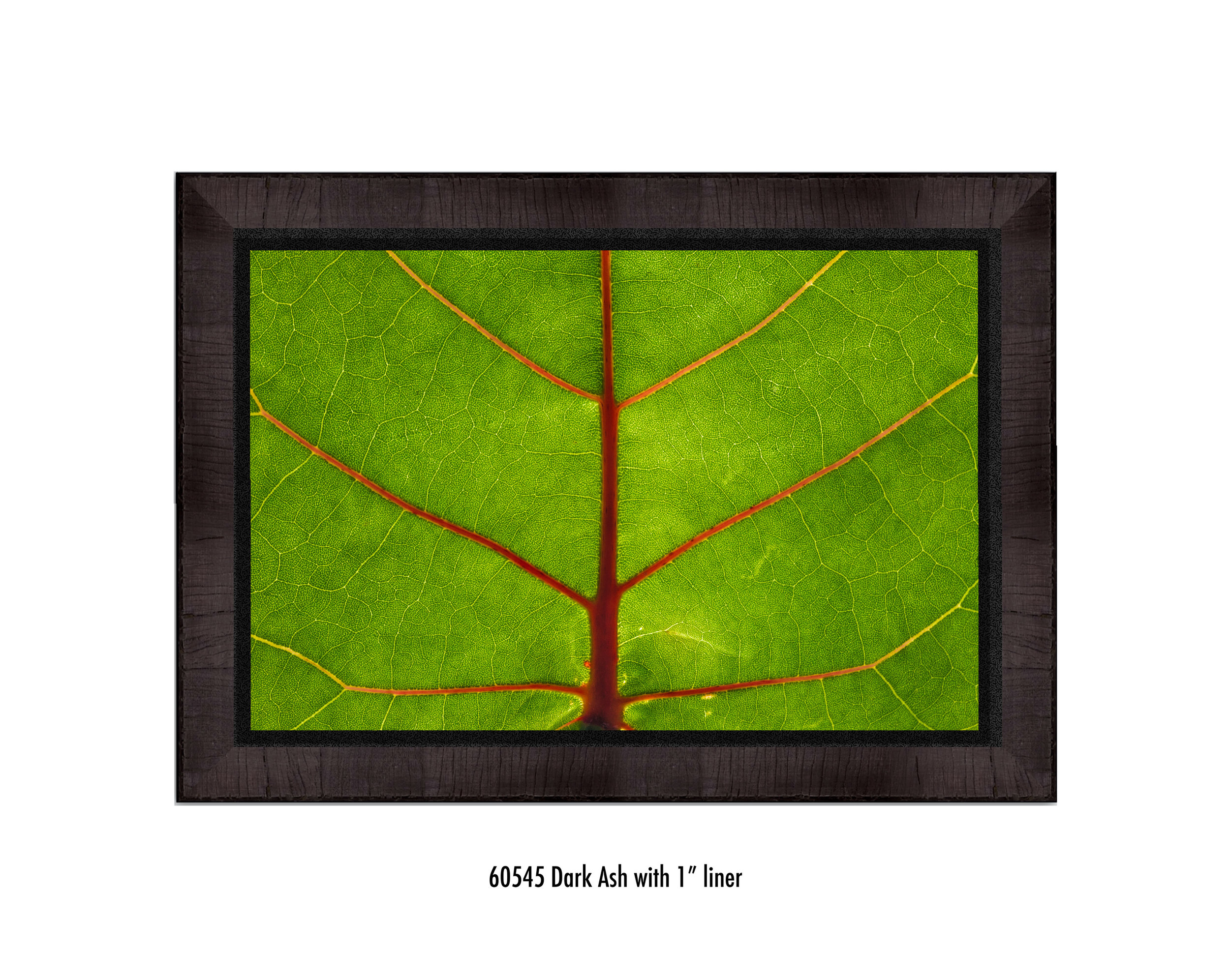 Leaf-60545-1-blk.jpg