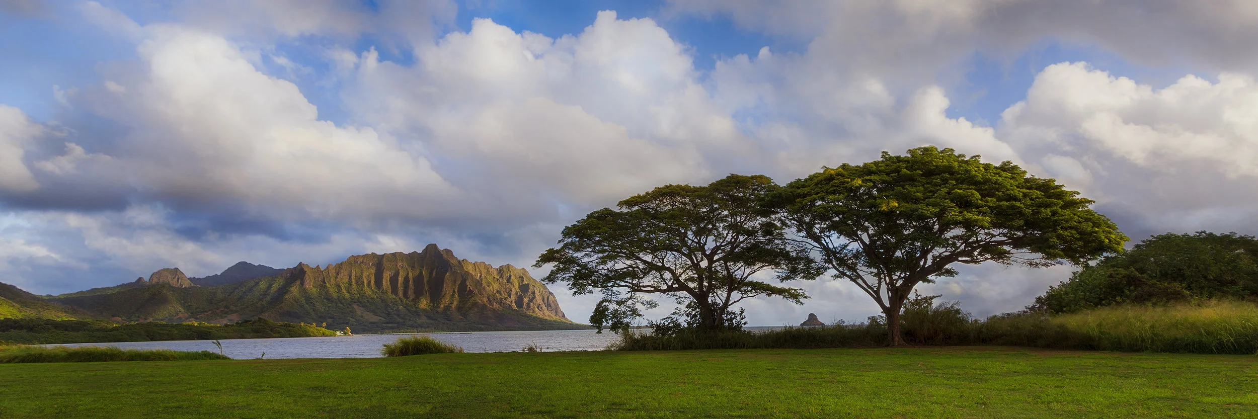 Koolau Pano.jpg