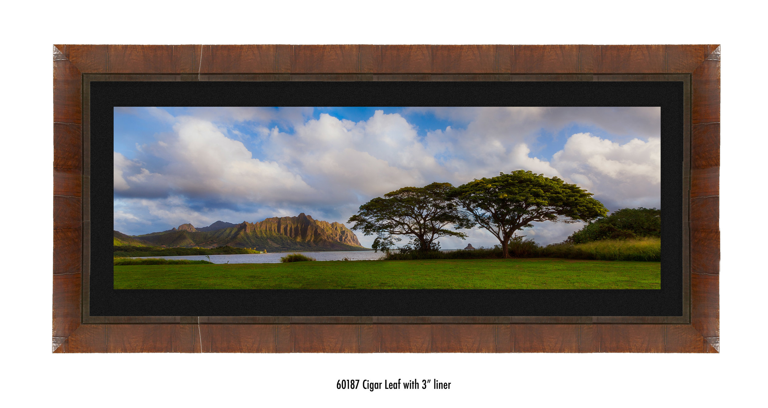 Koolau-Pano-60187-blk.jpg