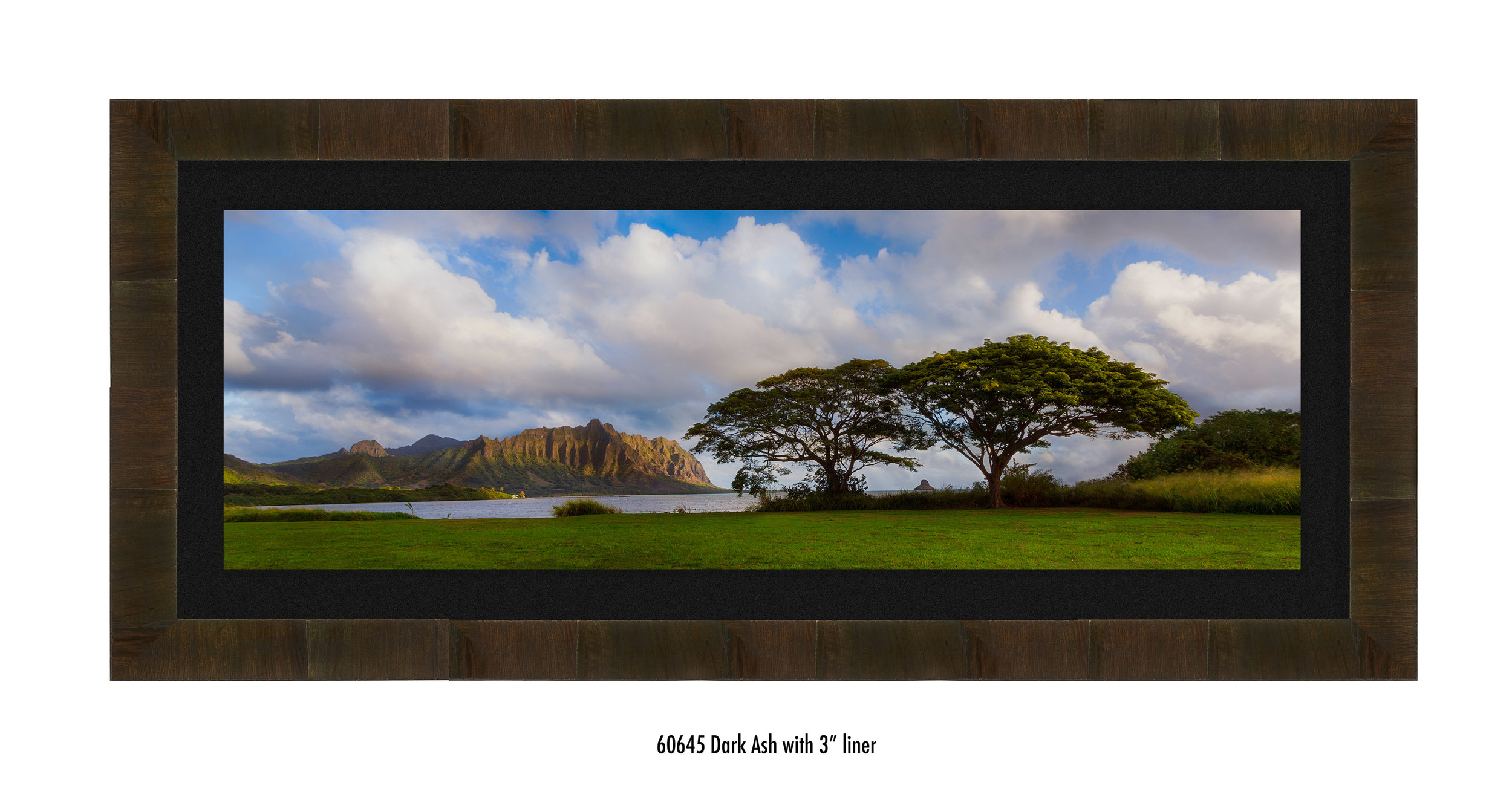 Koolau-Pano-60645-blk.jpg