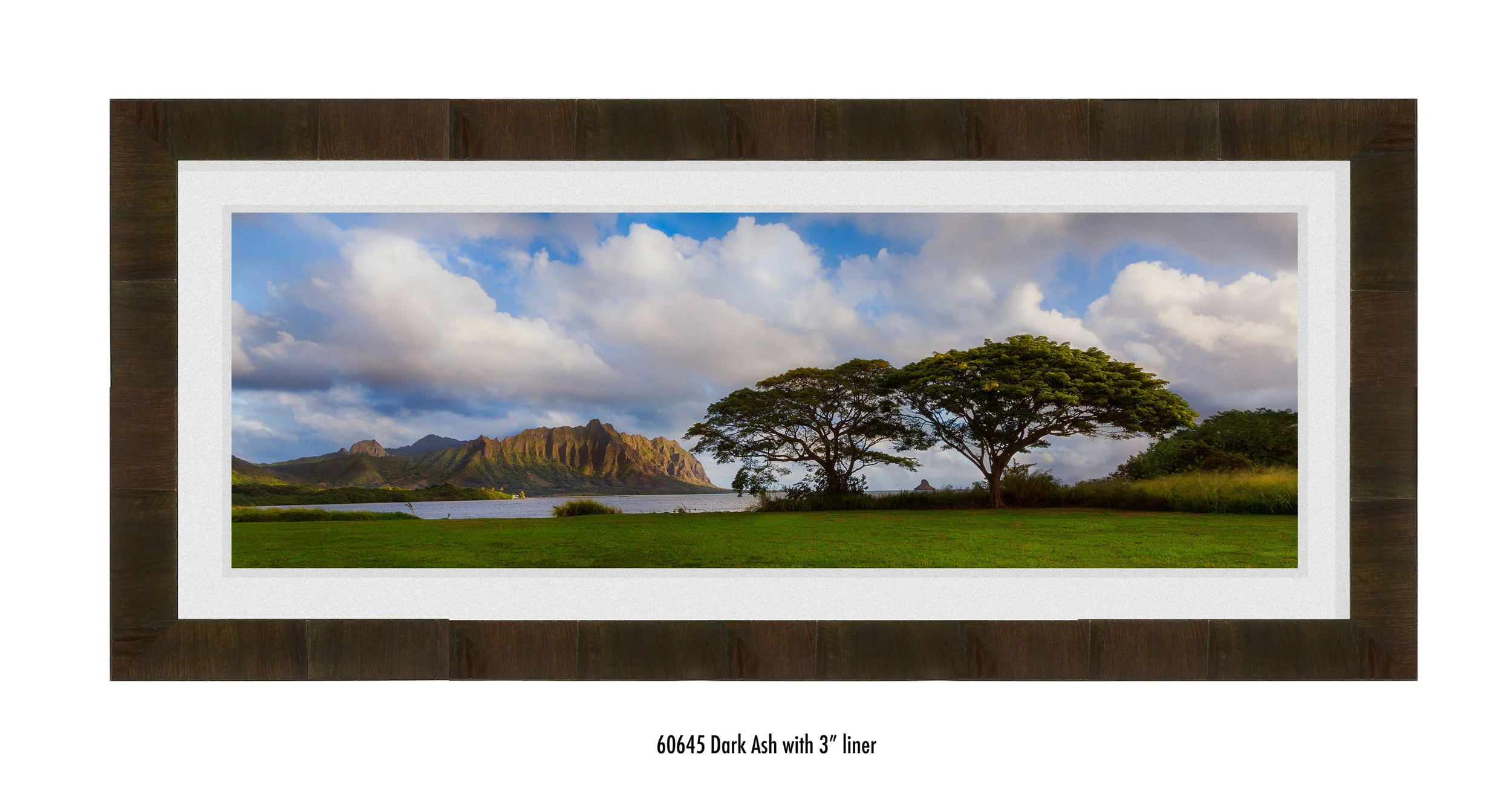 Koolau-Pano-60645-wht.jpg
