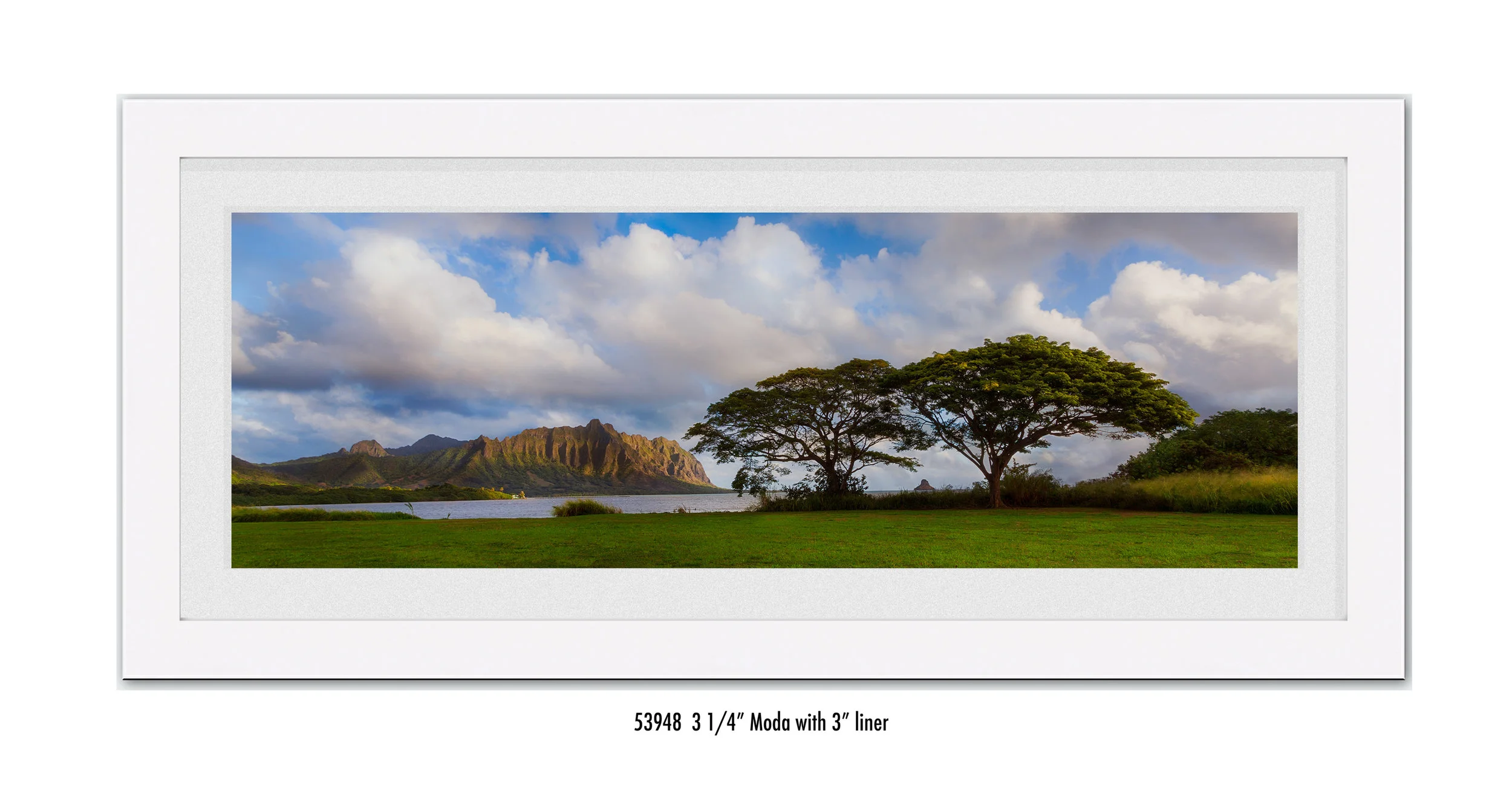 Koolau-Pano-59348-wht.jpg