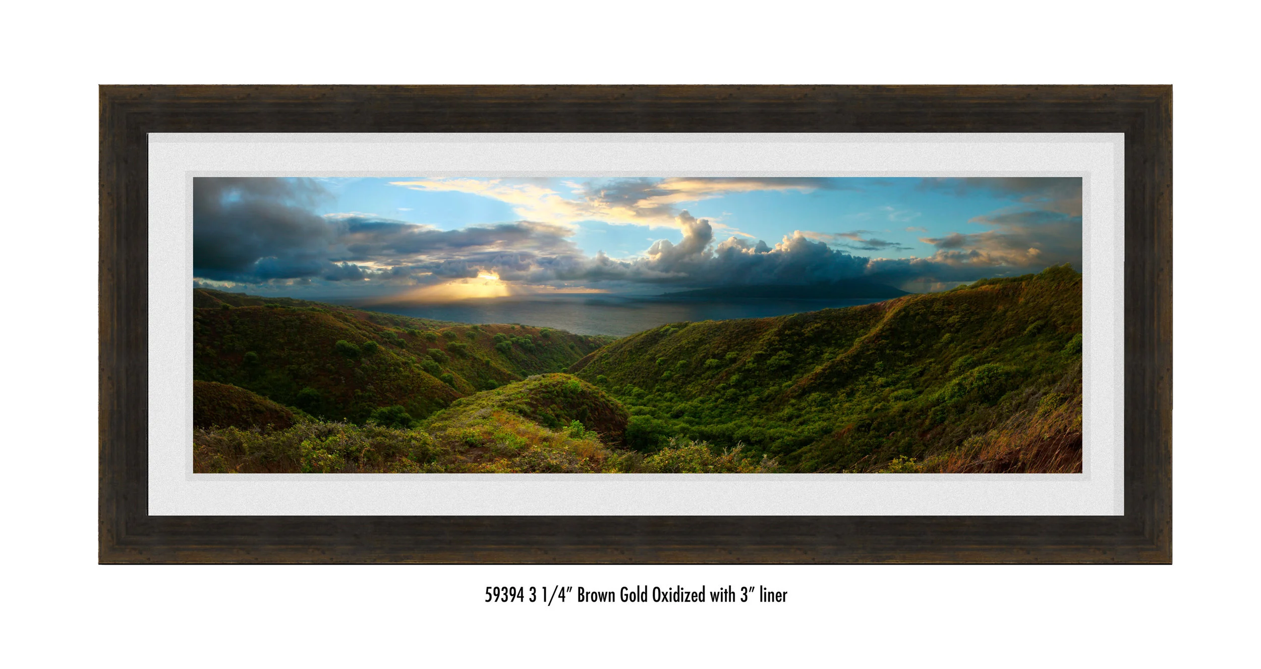 Molokai-Panorama-59394-wht.jpg