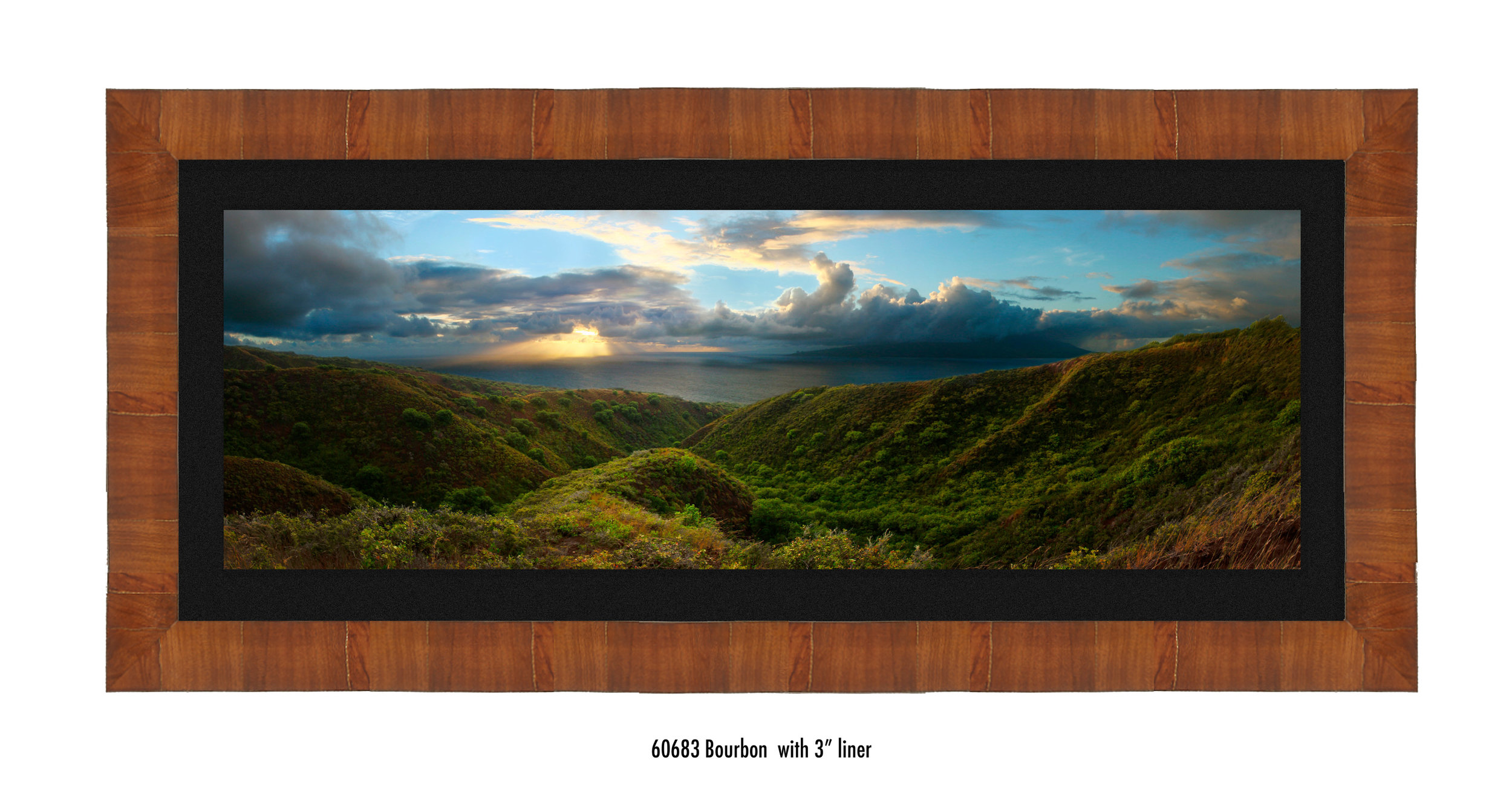 Molokai-Panorama-60683-blk.jpg