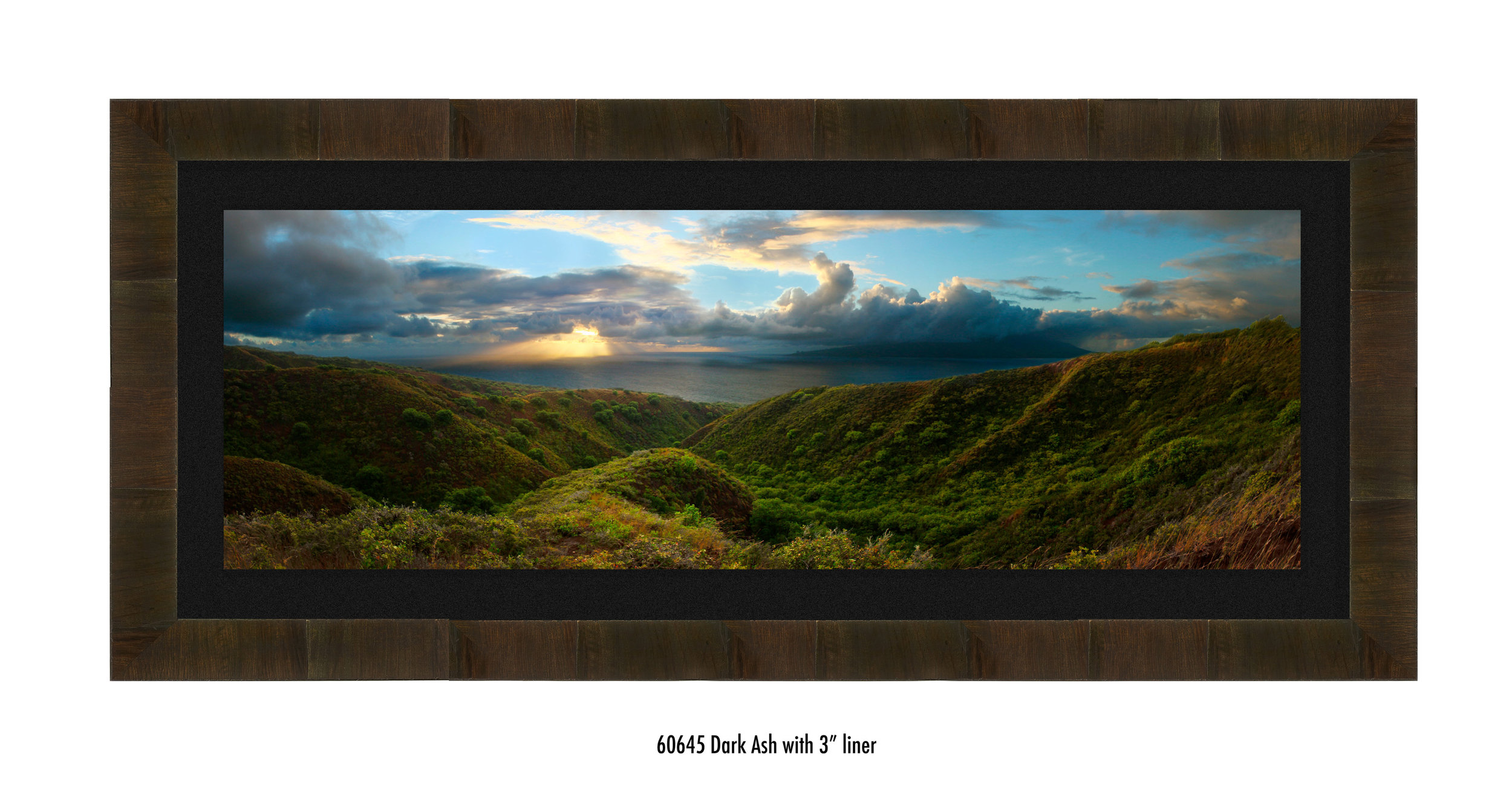 Molokai-Panorama-60645-blk.jpg