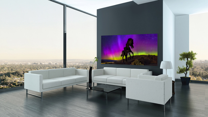 Wild-Horses-in-Homes-I.jpg