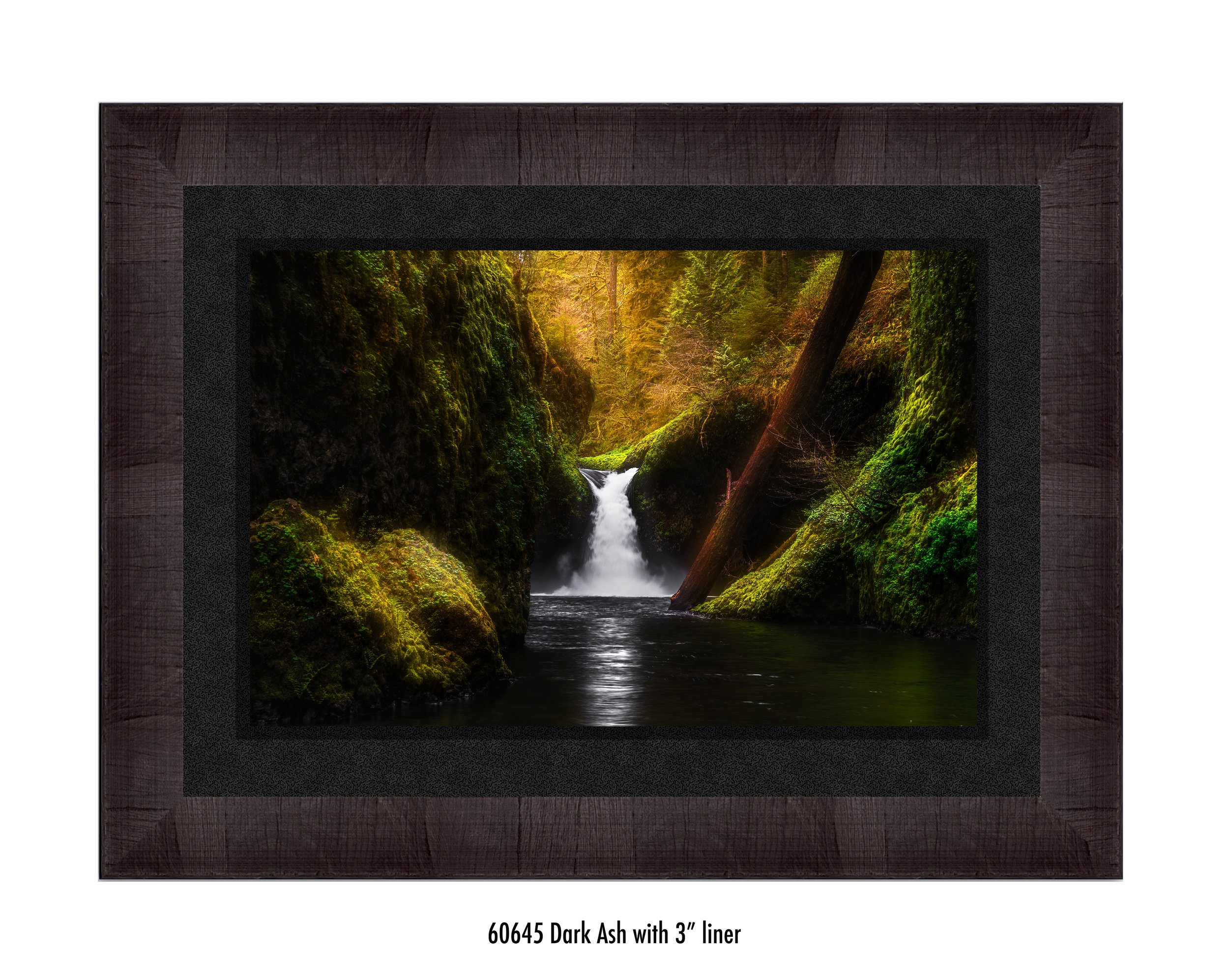 Punchbowll-II-60645-3-blk.jpg