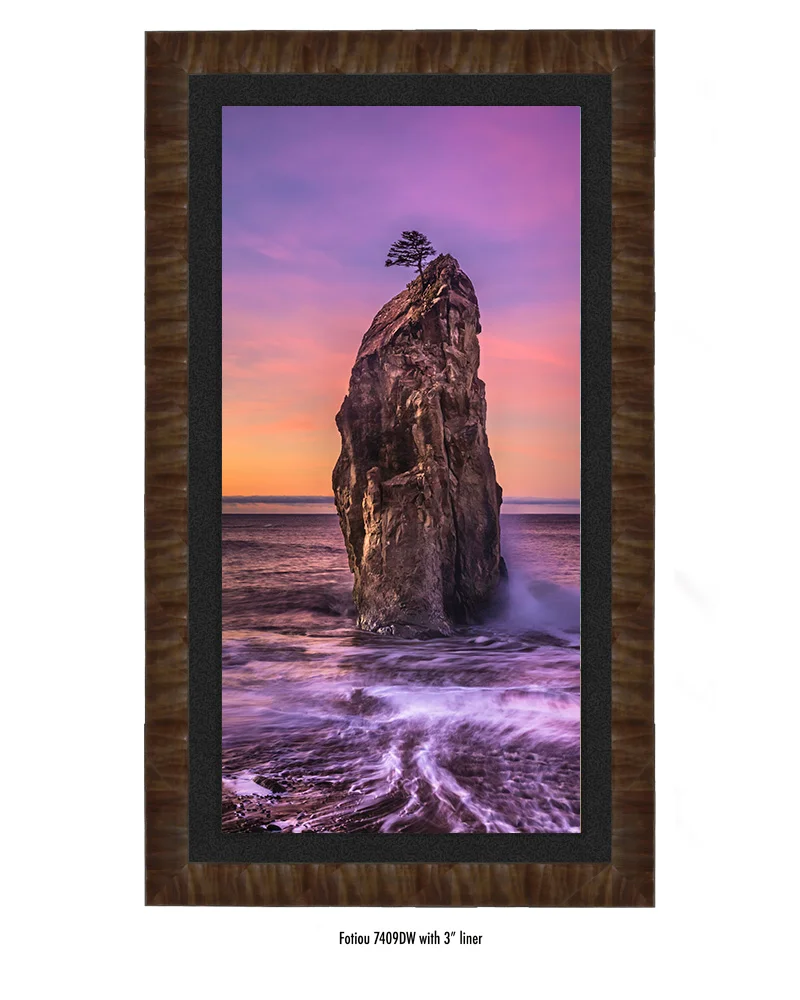 Survivor-7409DW-blk.jpg