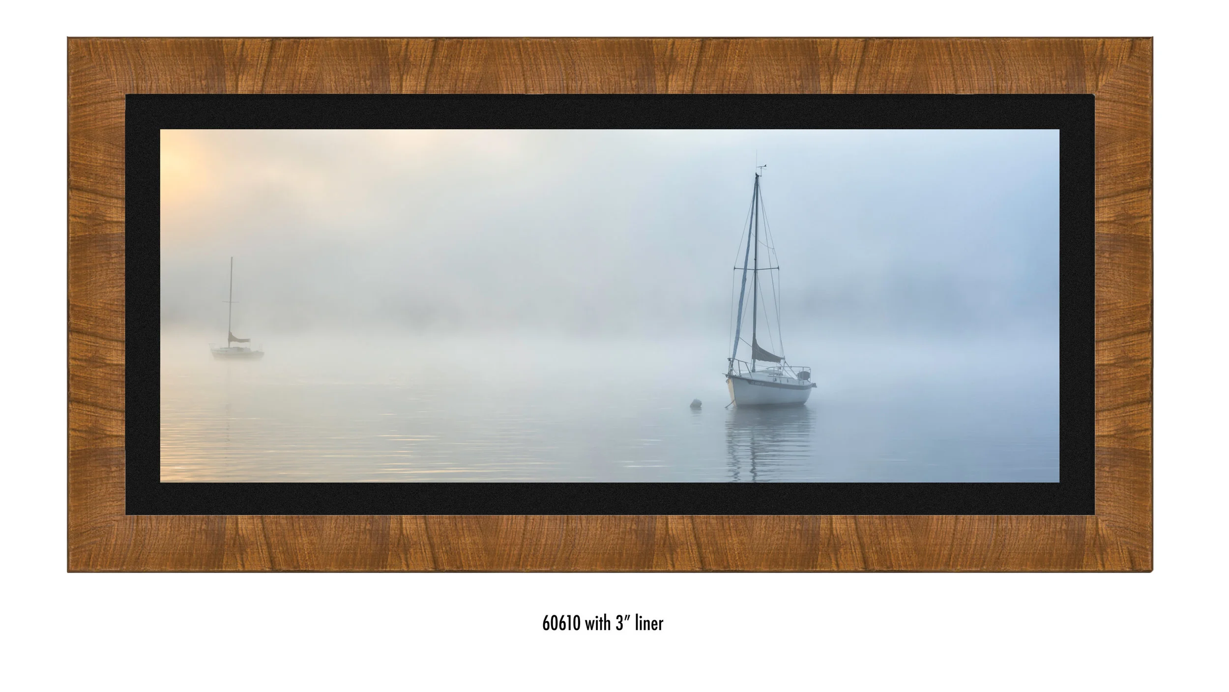 Safe-at-Harbor-60610-bkl.jpg
