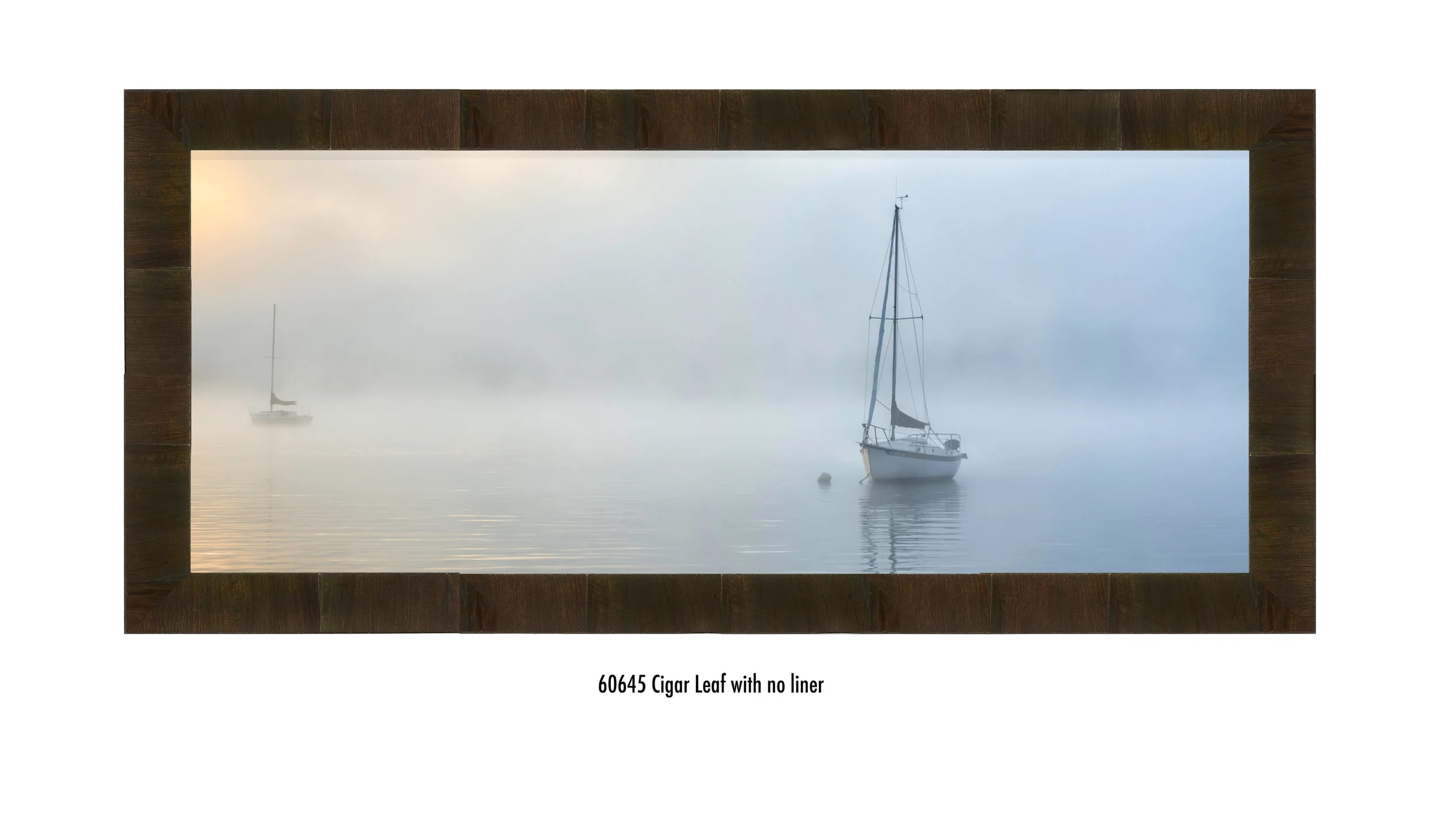 Safe-at-Harbor-60645-none.jpg