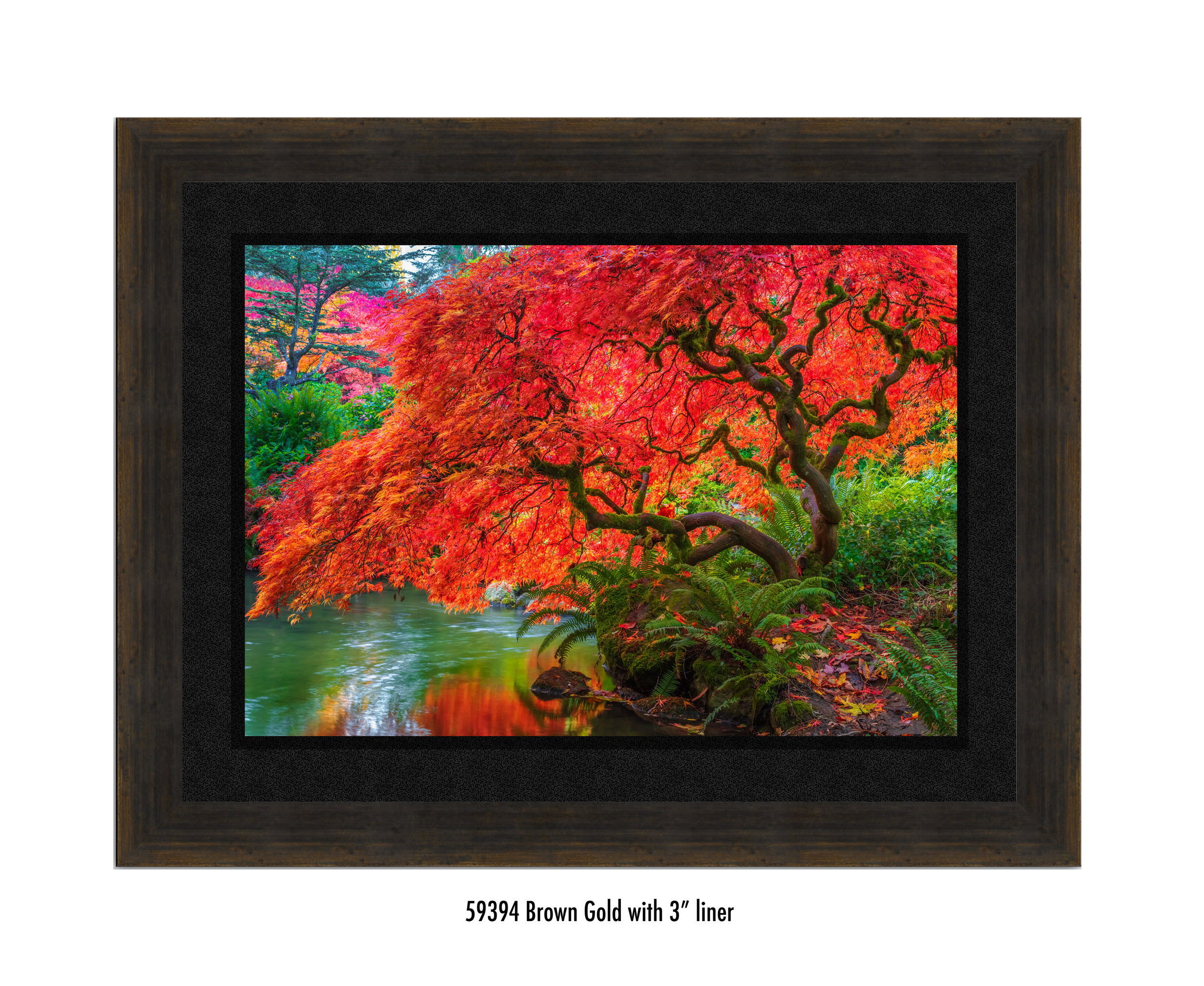 Tree-of-Fire-59394-3-blk.jpg