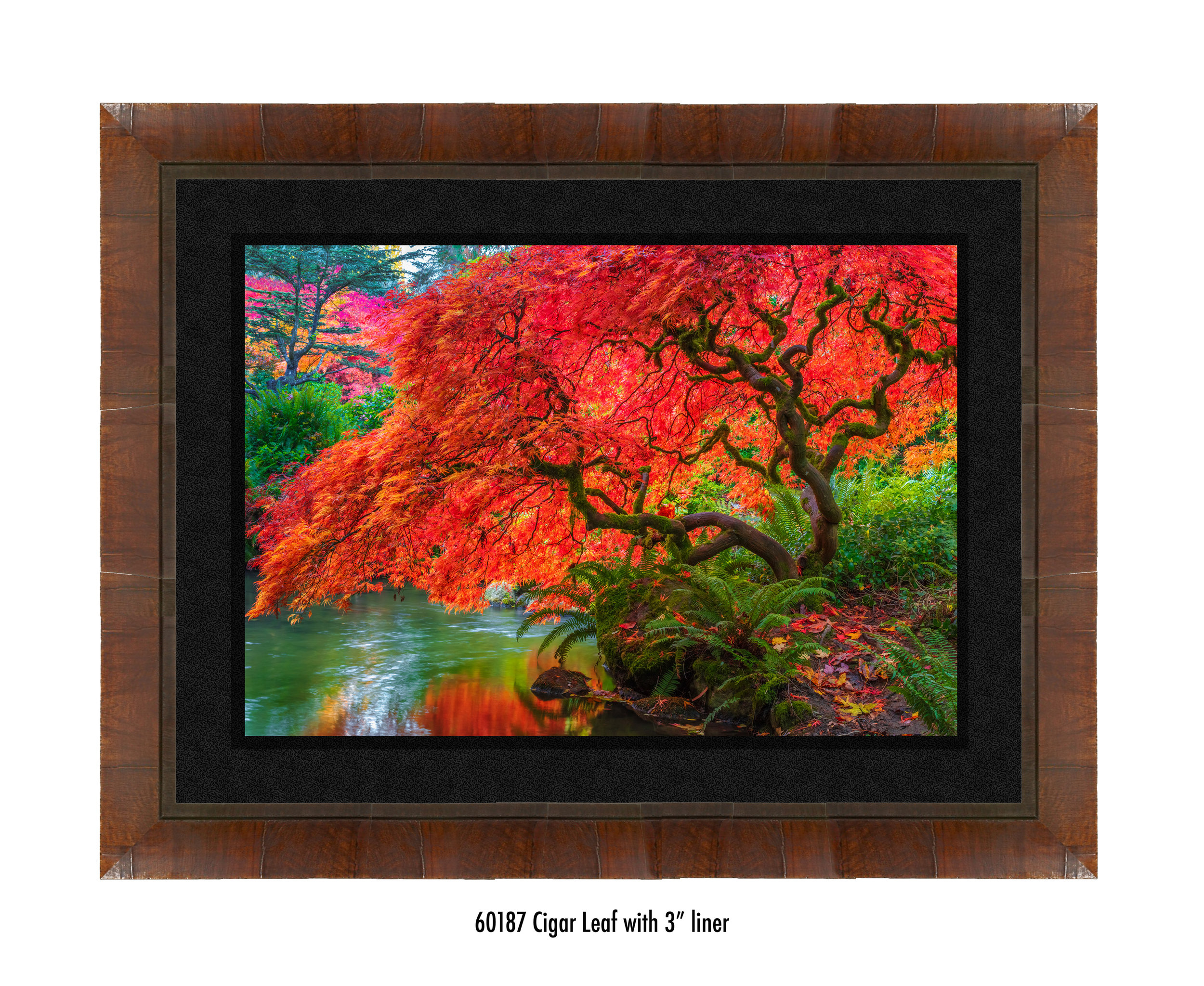 Tree-of-Fire-60187-3-blk.jpg