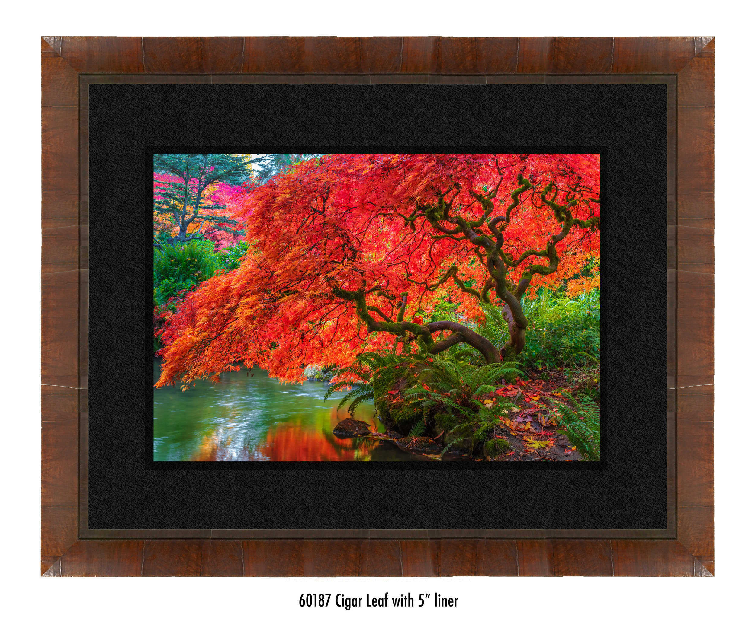 Tree-of-Fire-60187-5-blk.jpg