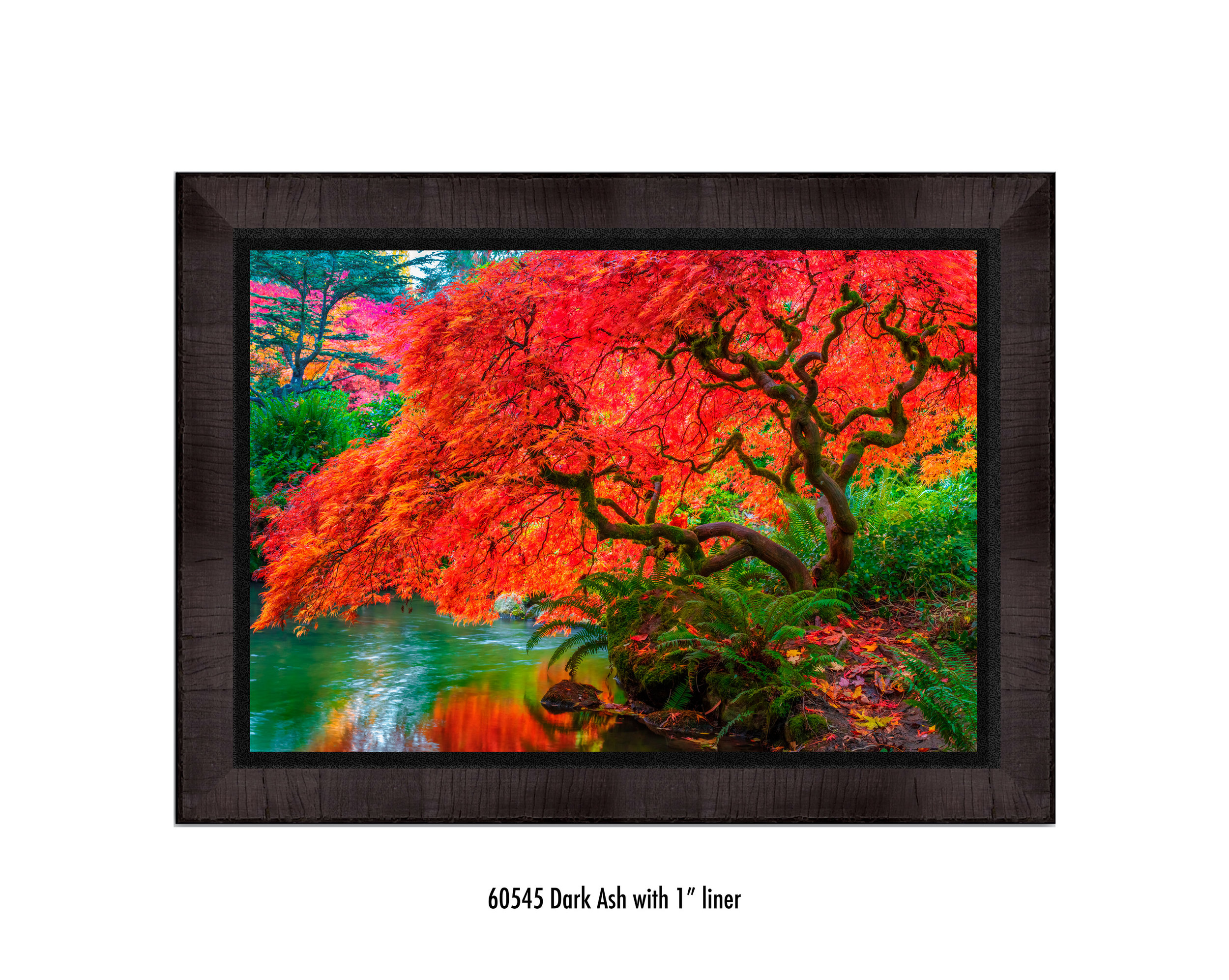 Tree-of-Fire-60545-1-blk.jpg