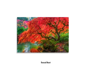 Facebook Cover Images 399 Pixels Wide And 150 Pixels Tall