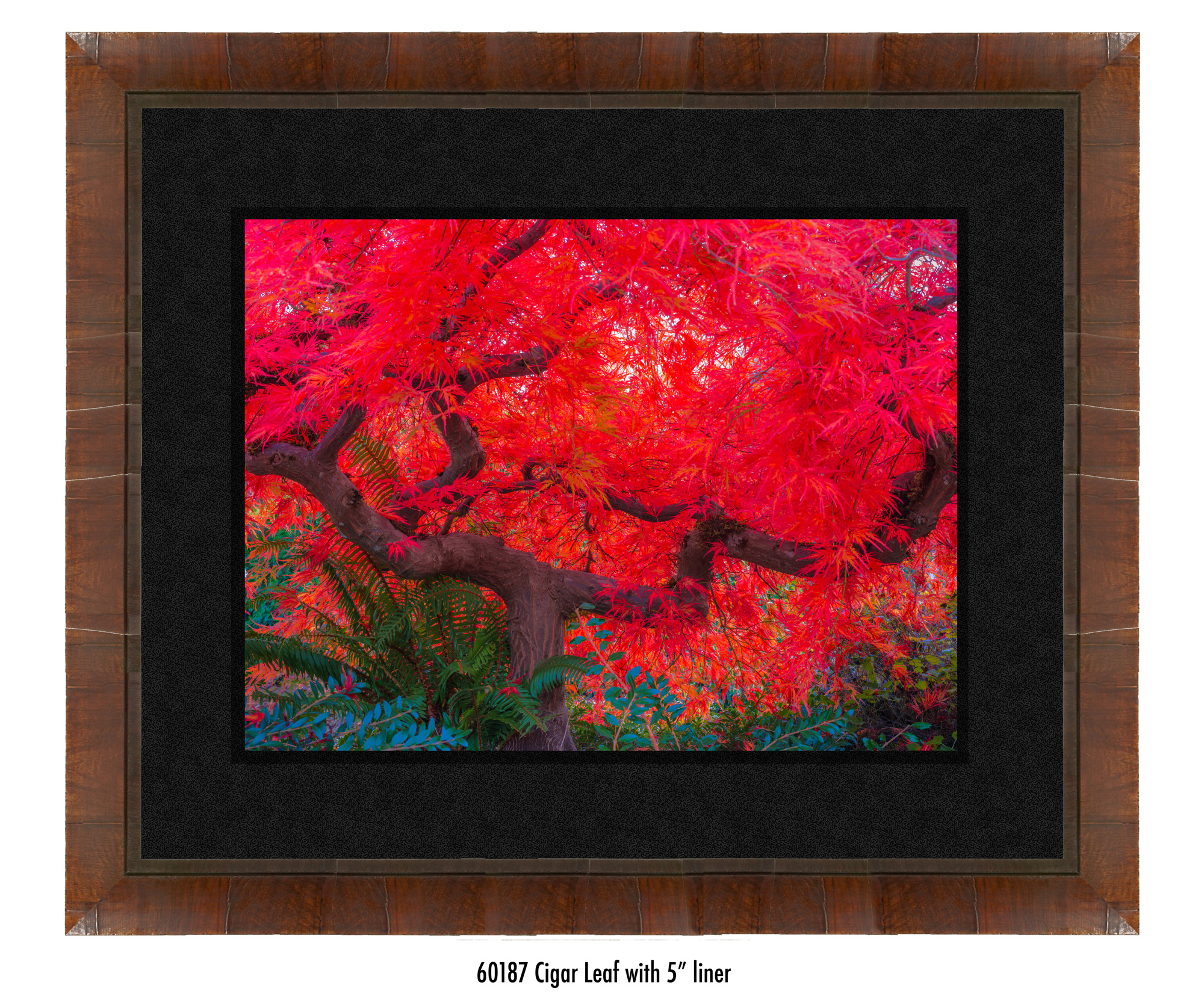 Scarlet-Tree-60187-5-blk.jpg