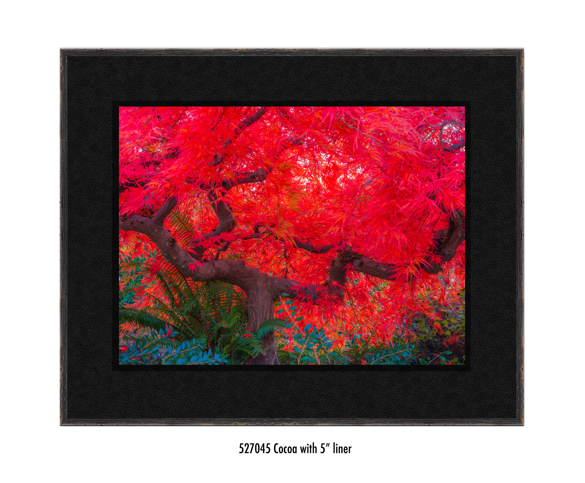 Scarlet-Tree-527045-5-blk.jpg