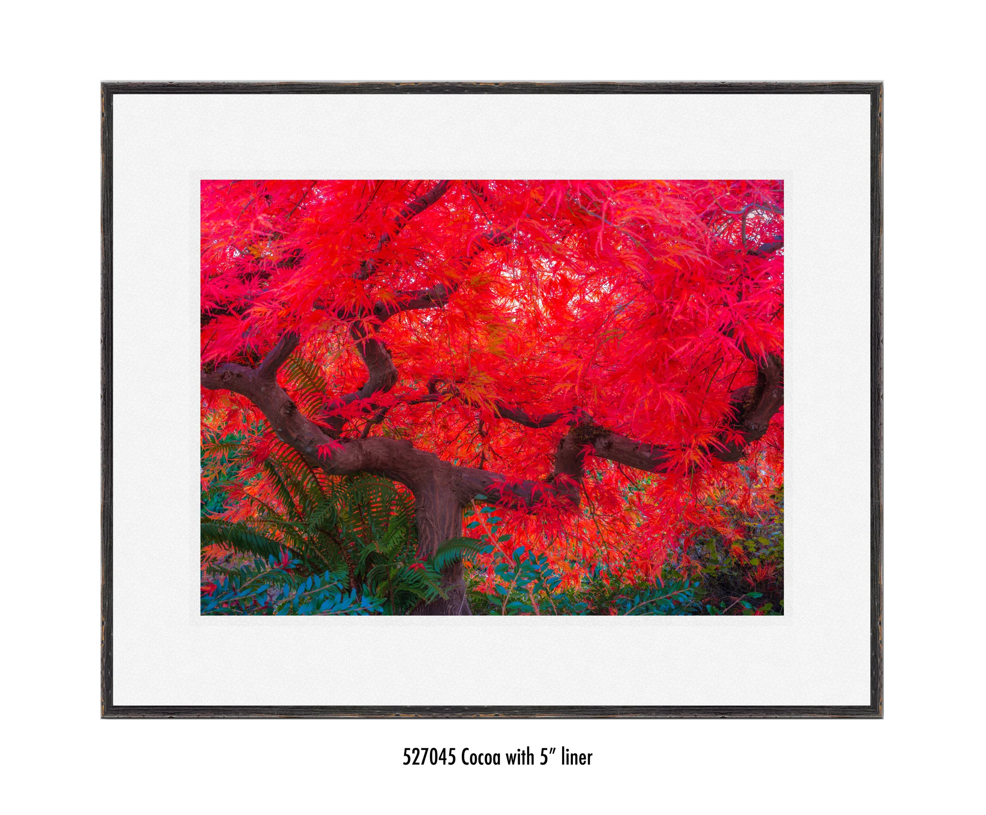 Scarlet-Tree-527045-5-wht.jpg