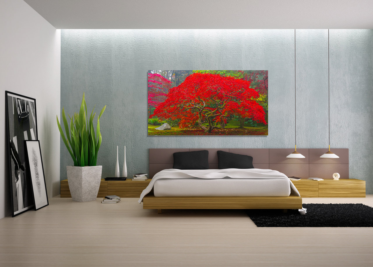 Avendasora-in-home-I.jpg