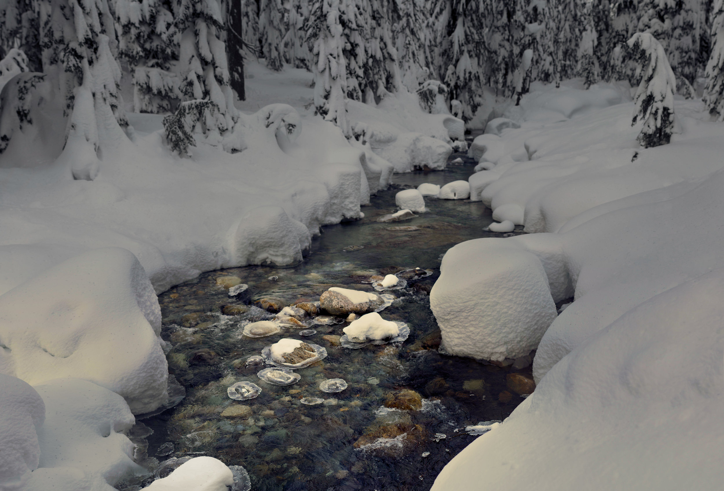 Winters Heart.jpg