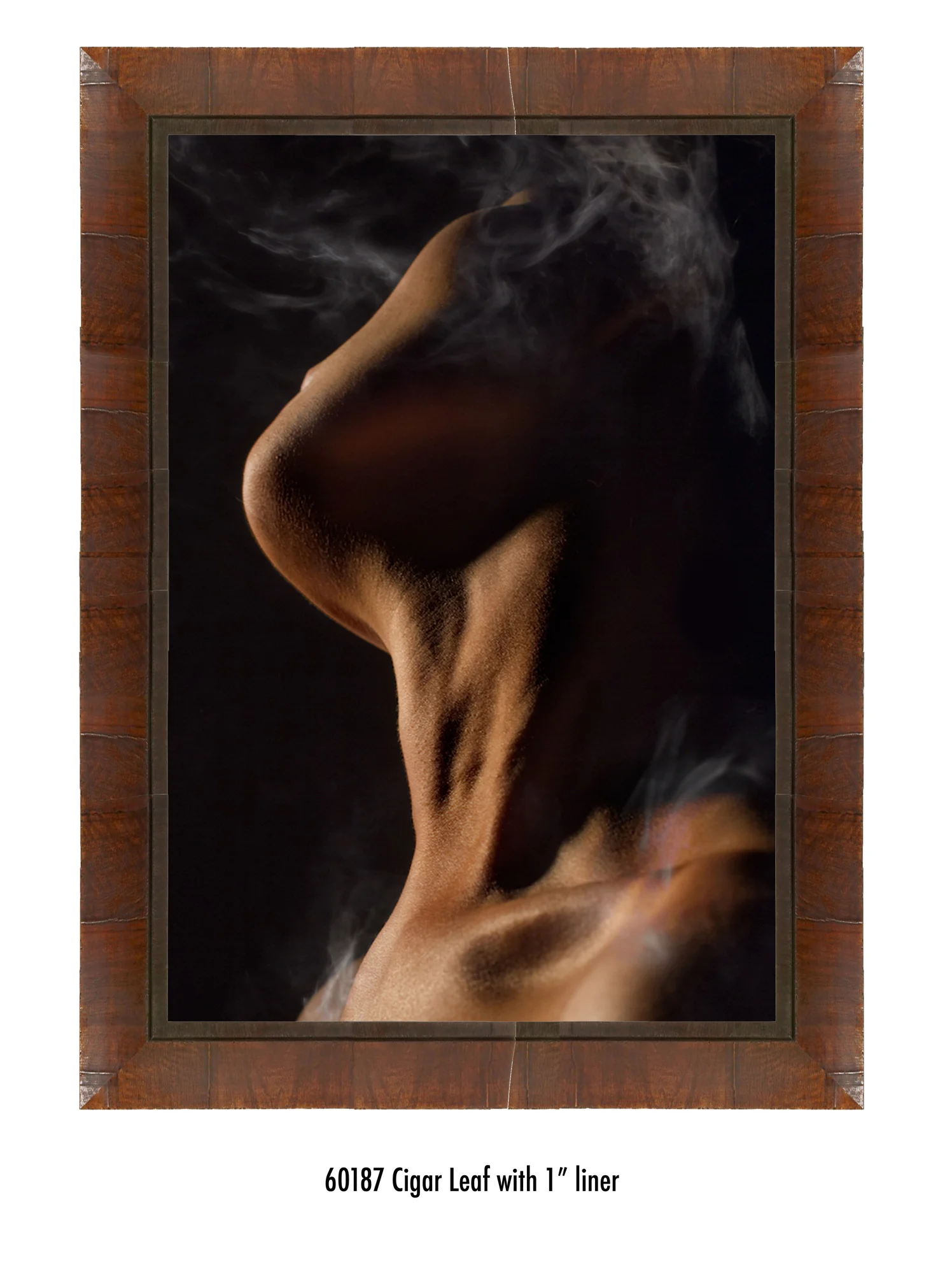Mistborn-60187-1-blk.jpg
