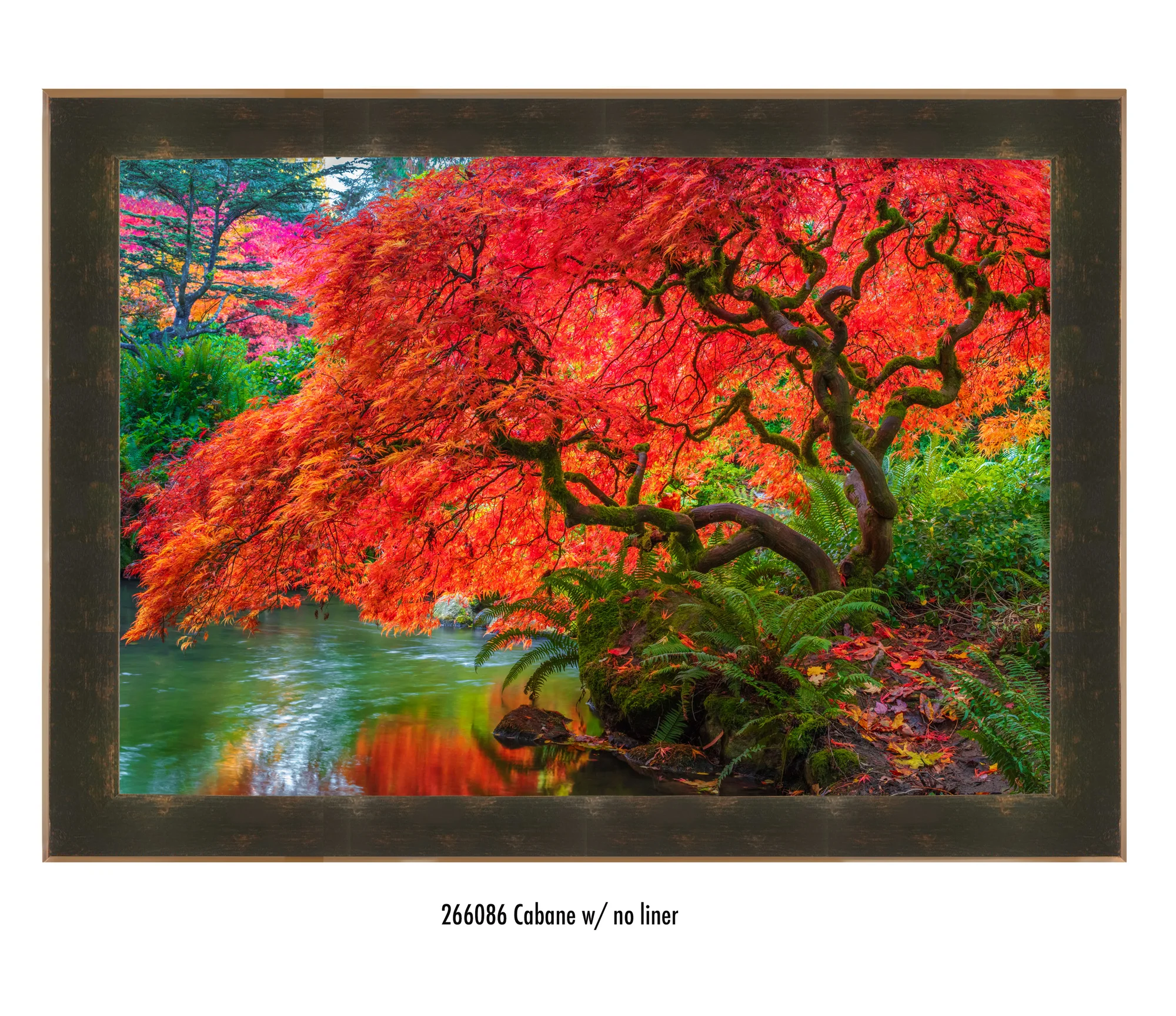 My favorite presentation of Tree of Fire is with this beautifully made Roma frame and no liner. The earth tones compliment each other so beautifully and the depth of the frame makes the entire piece pop so strongly. 30x40 artwork only, $3,000 or $300 with ArtMoney -with the Cabane frame - $4,500 or $450 with ArtMoney