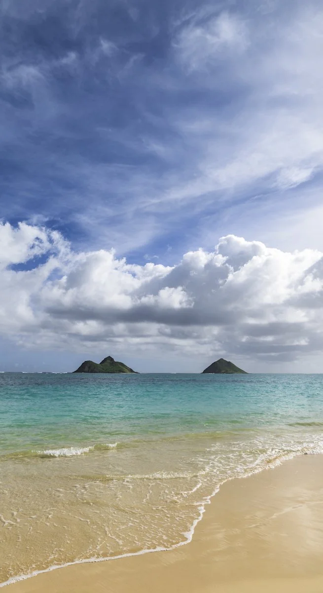SEASCAPES