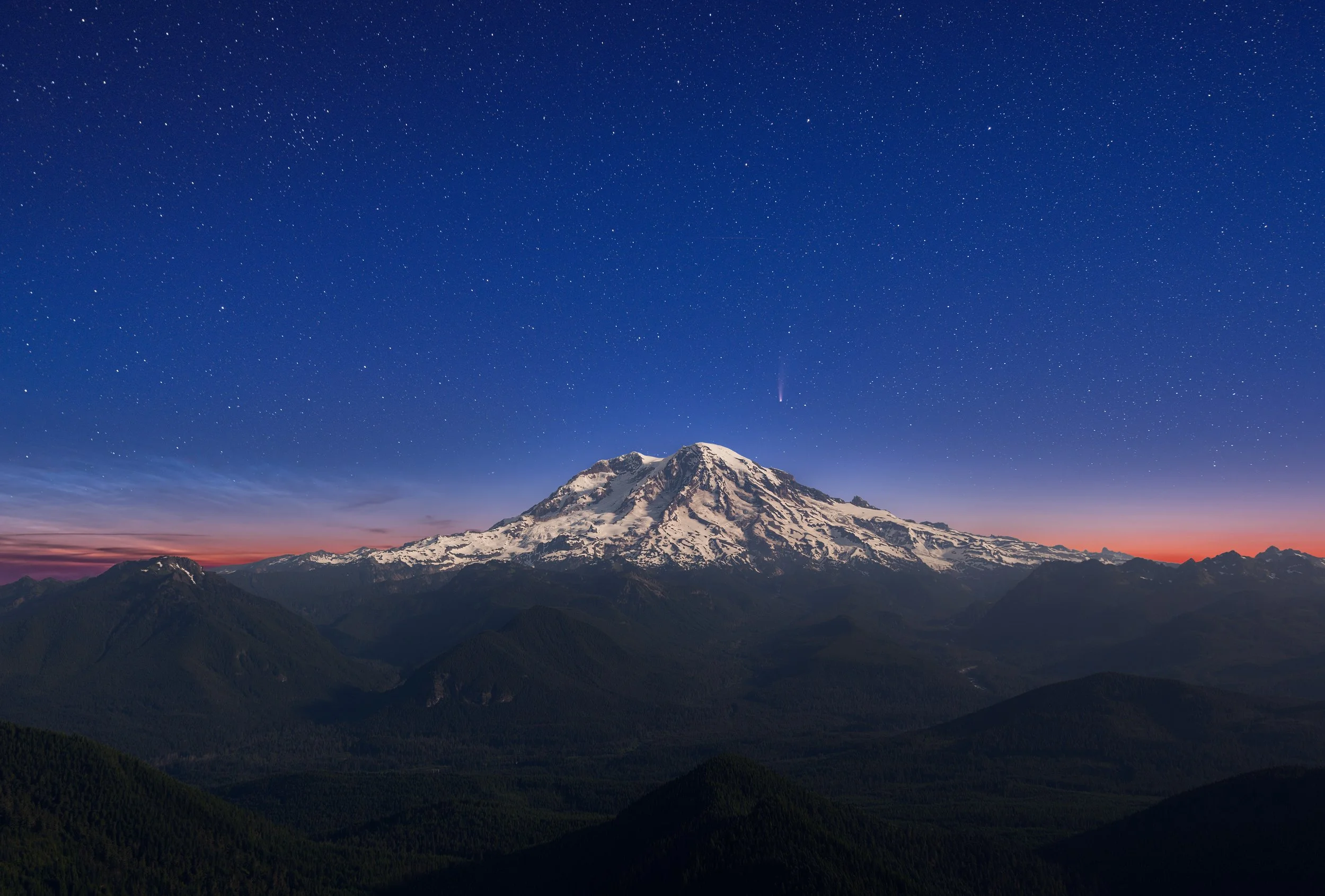 The Washington Art Collection