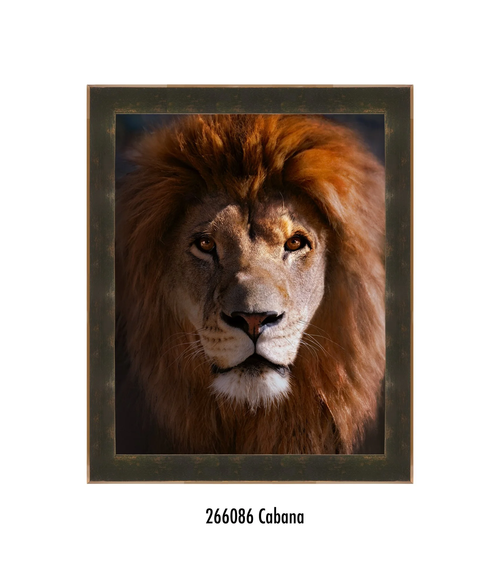 Endurance-Cabana.jpg