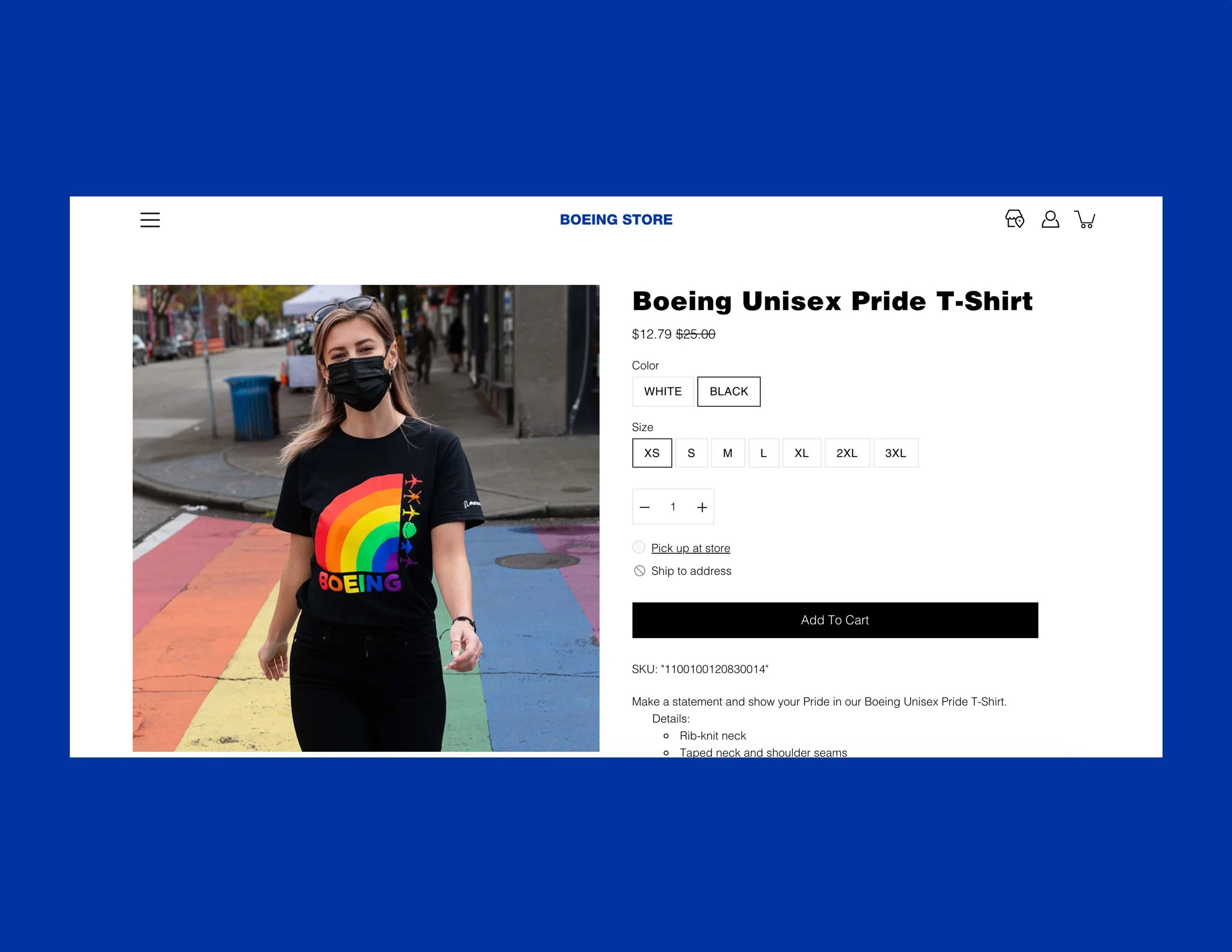 Boeing-Pride-Website-Layout-2.jpg