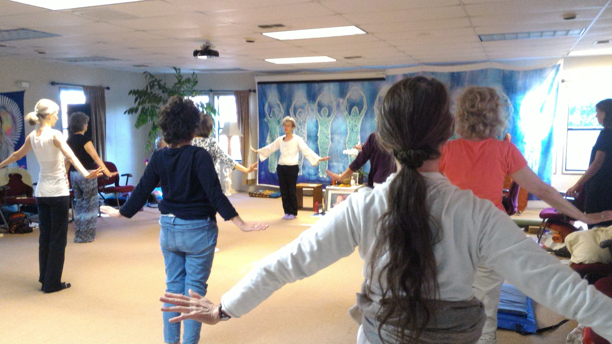 Denise leading a Morning Qigong Practice of Chen Chi at a Wisdom Healing Qigong Retreat at EarthRise IONS in Petaluma, CA.